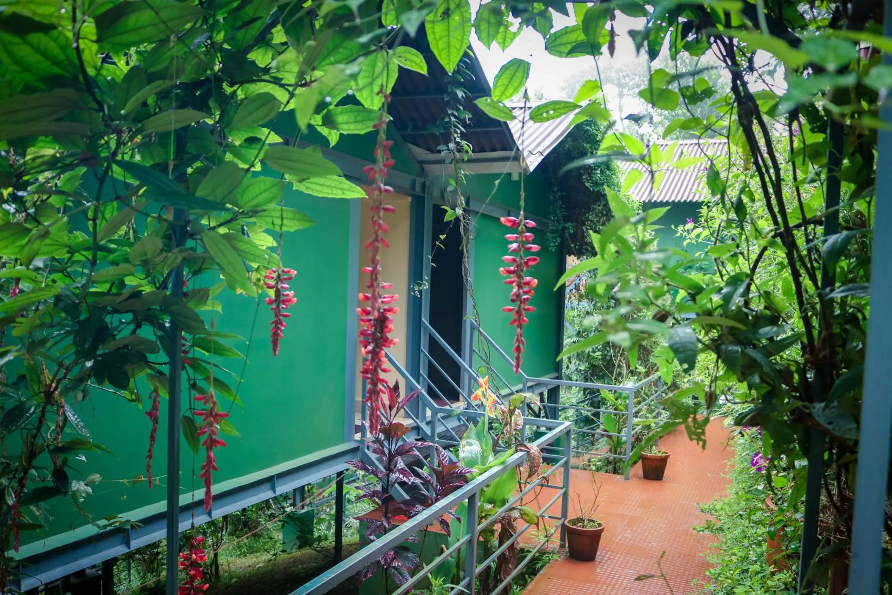 Patio in Edens Munnar