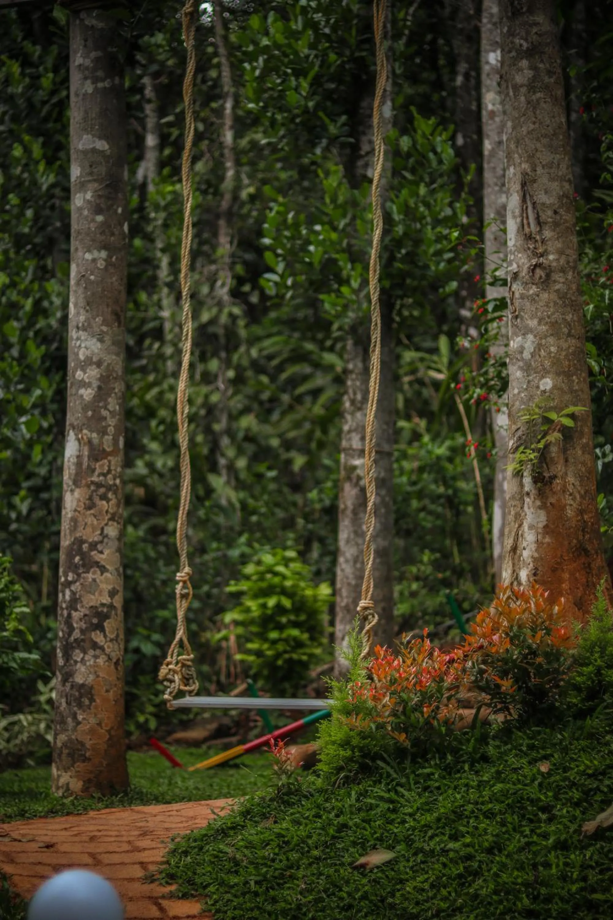 Children play ground in Edens Munnar