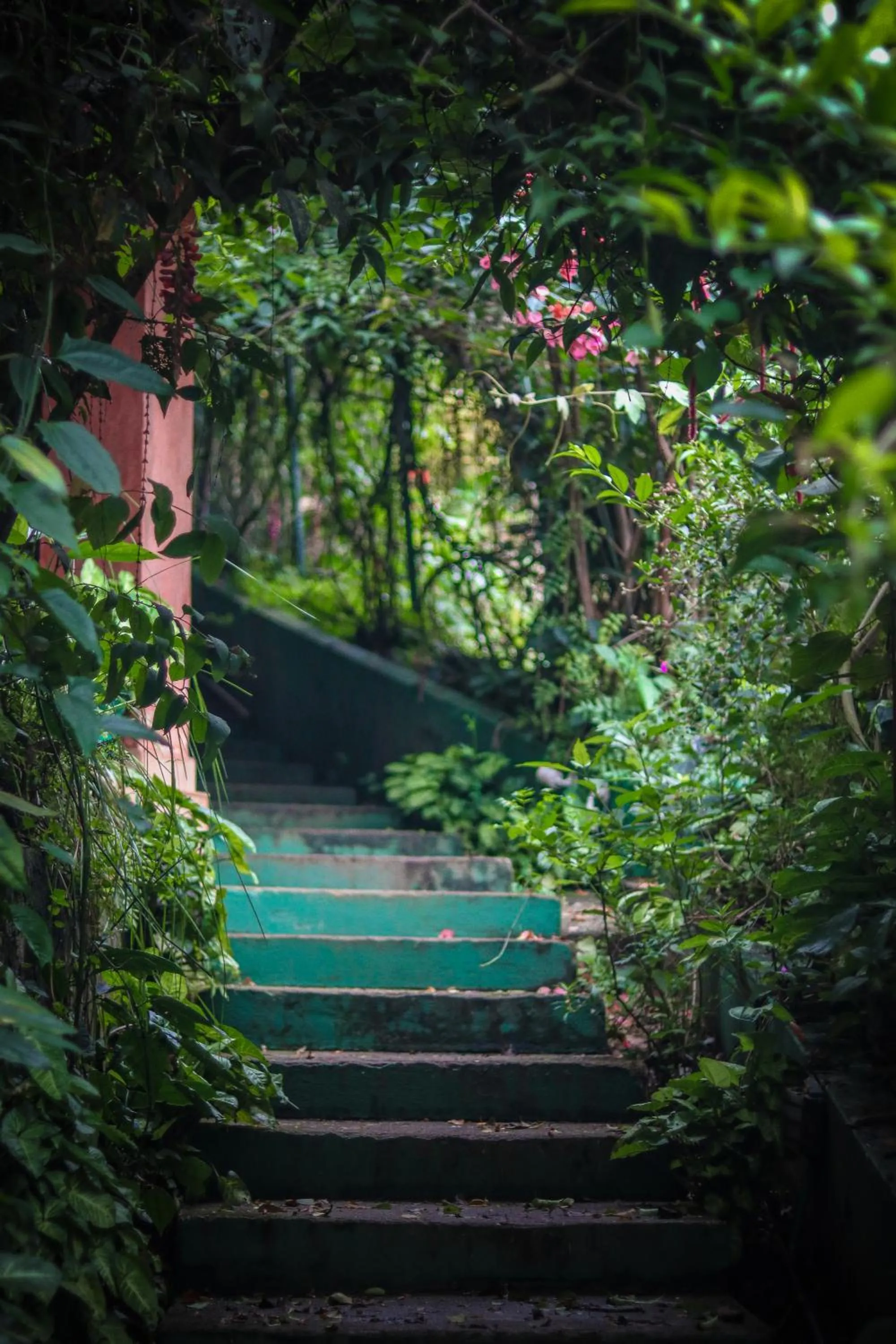 Garden in Edens Munnar