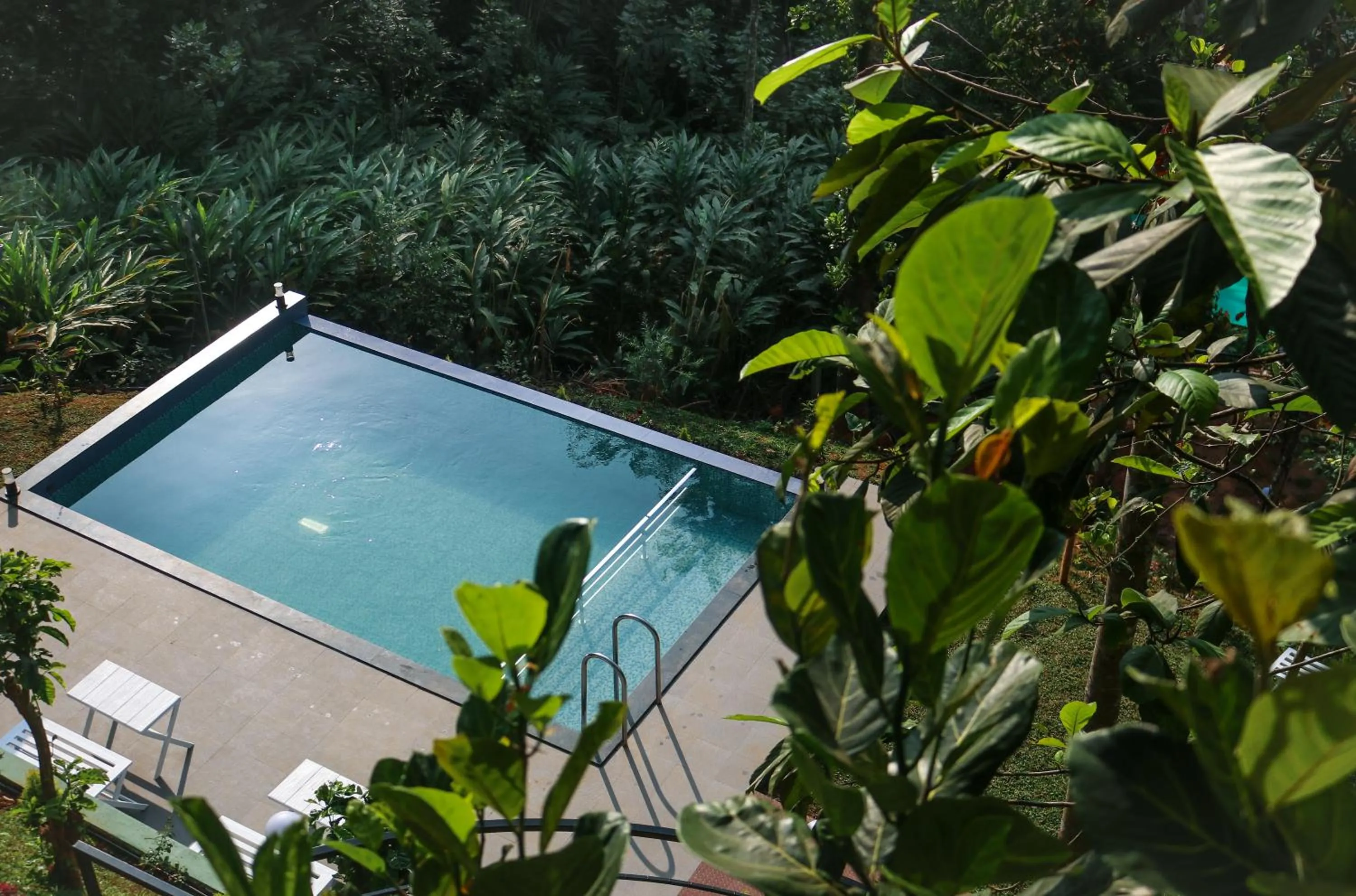 Swimming pool in Edens Munnar
