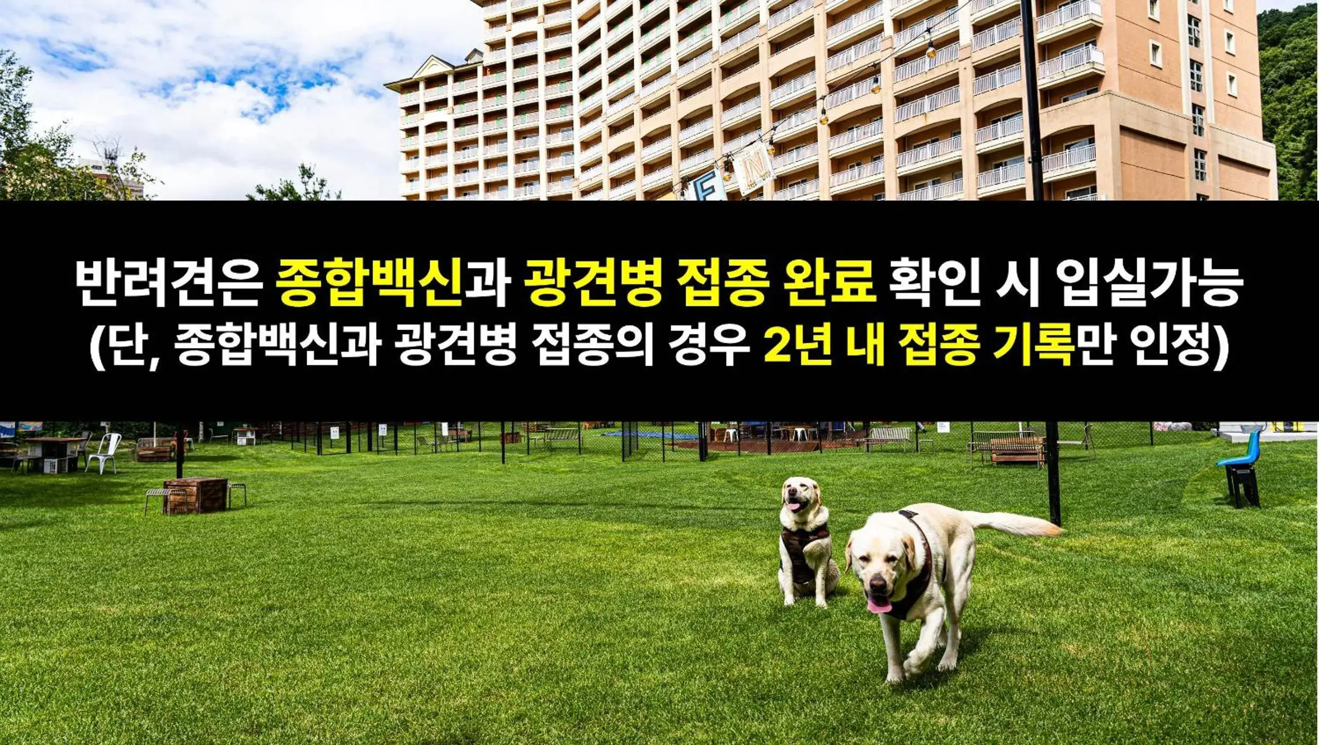 Sono Pet Clubs & Resorts VivaldiPark Sono Pet Clubs & Resorts VivaldiPark