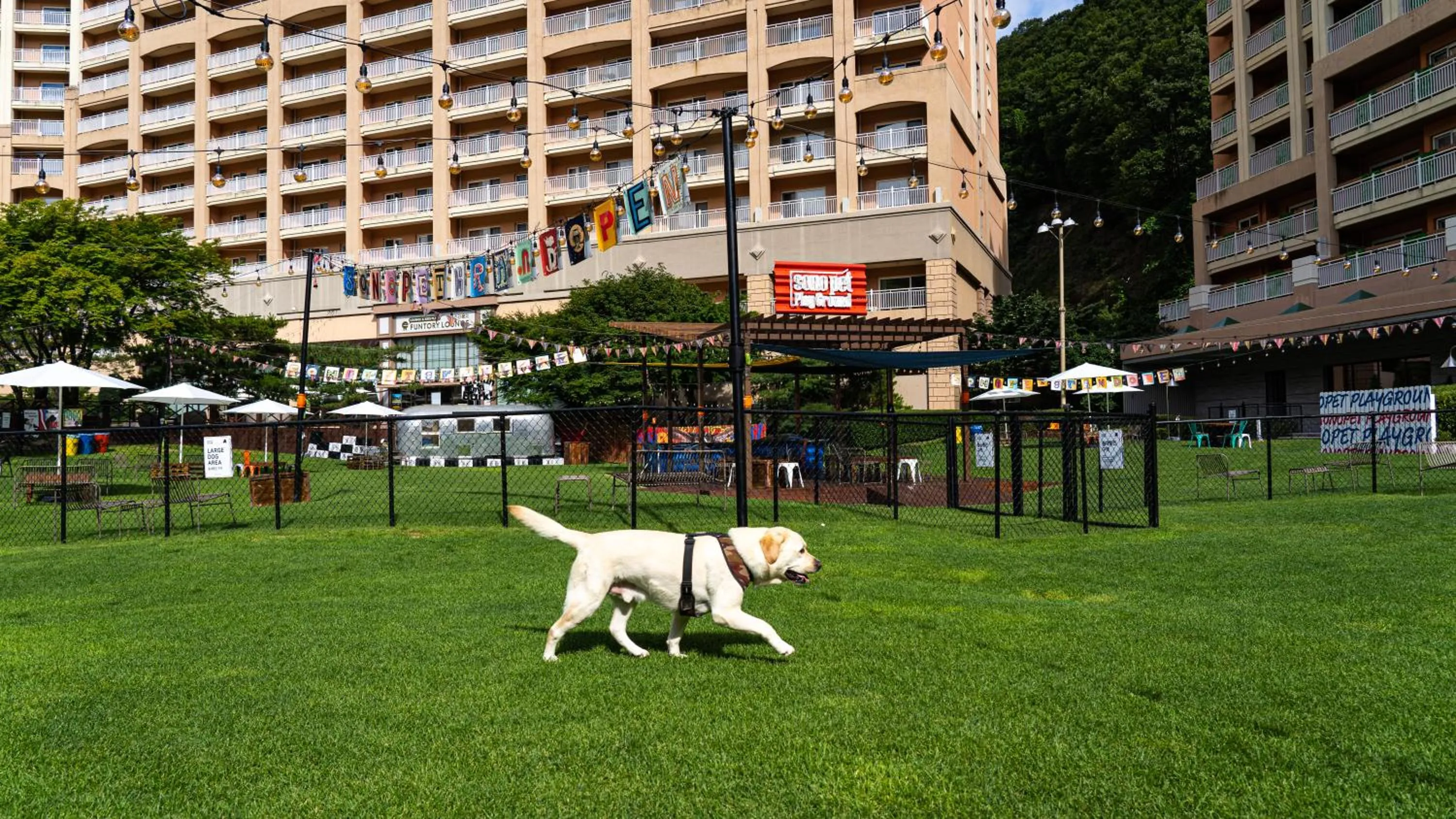 Sono Pet Clubs & Resorts VivaldiPark