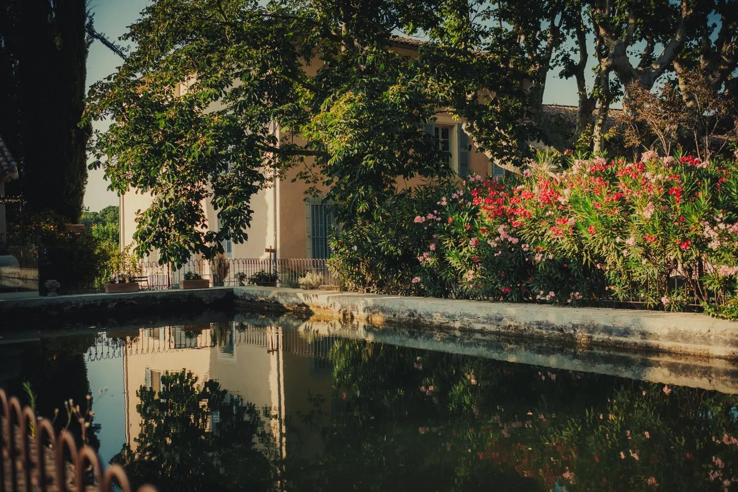 Garden in Domaine Les Mûriers