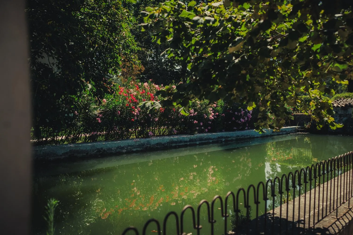 Garden in Domaine Les Mûriers