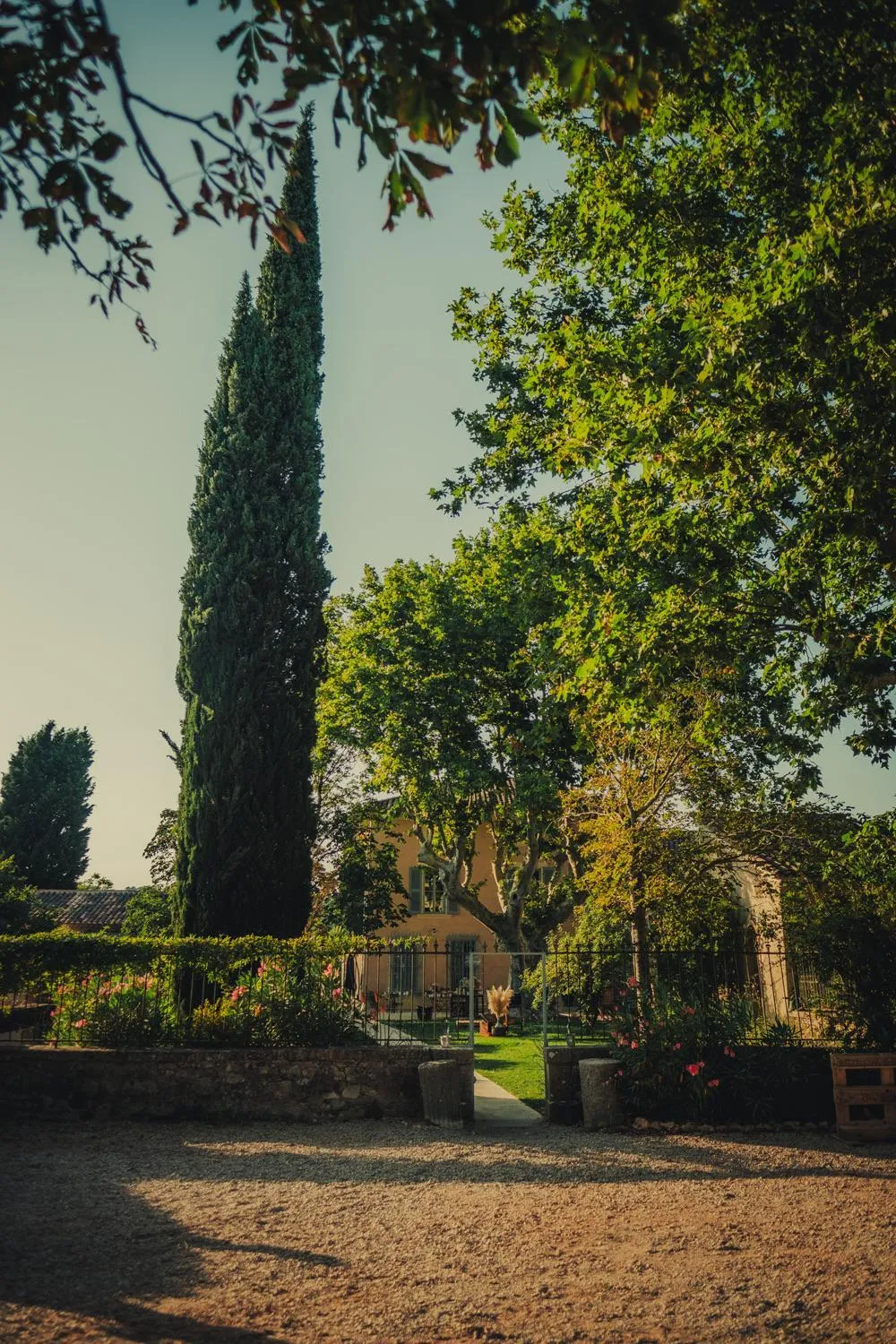 Garden in Domaine Les Mûriers