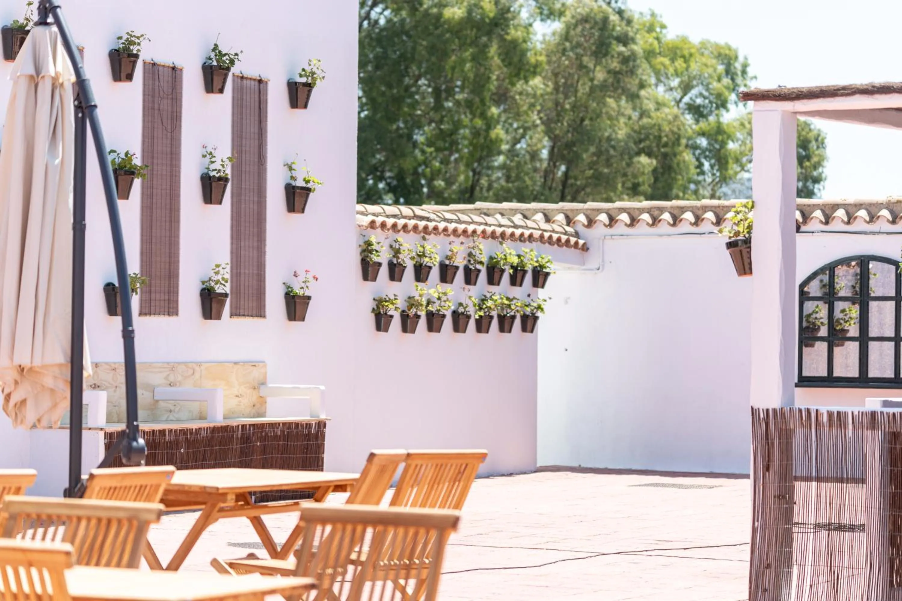 Patio in Hotel Marhava