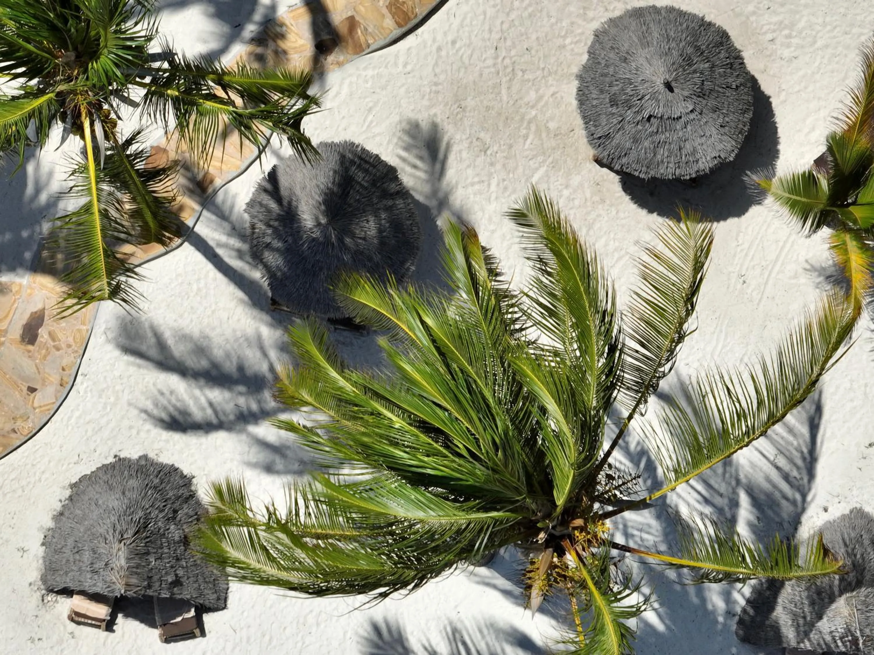 Day in Zula Zanzibar