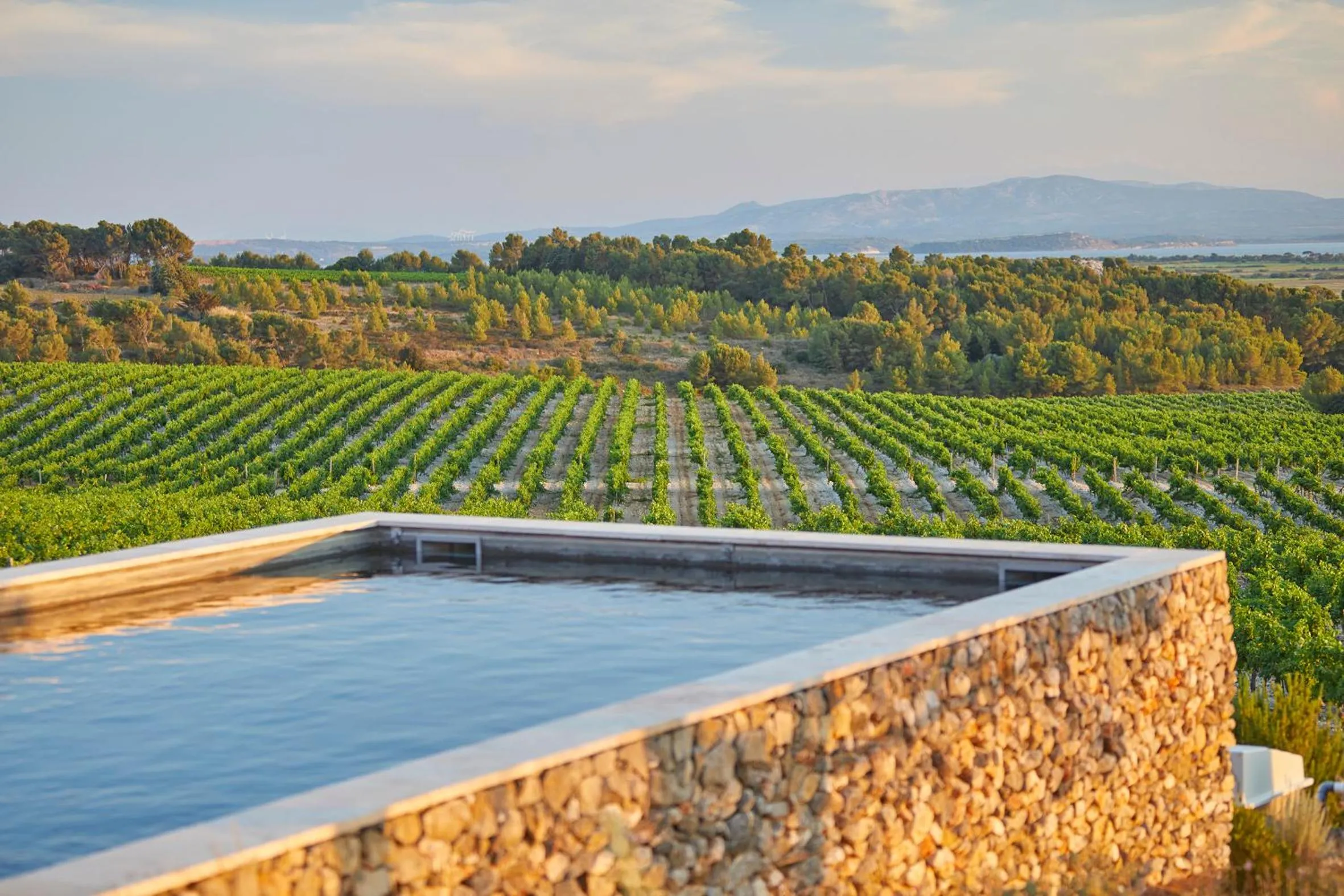 Swimming pool in Château Capitoul