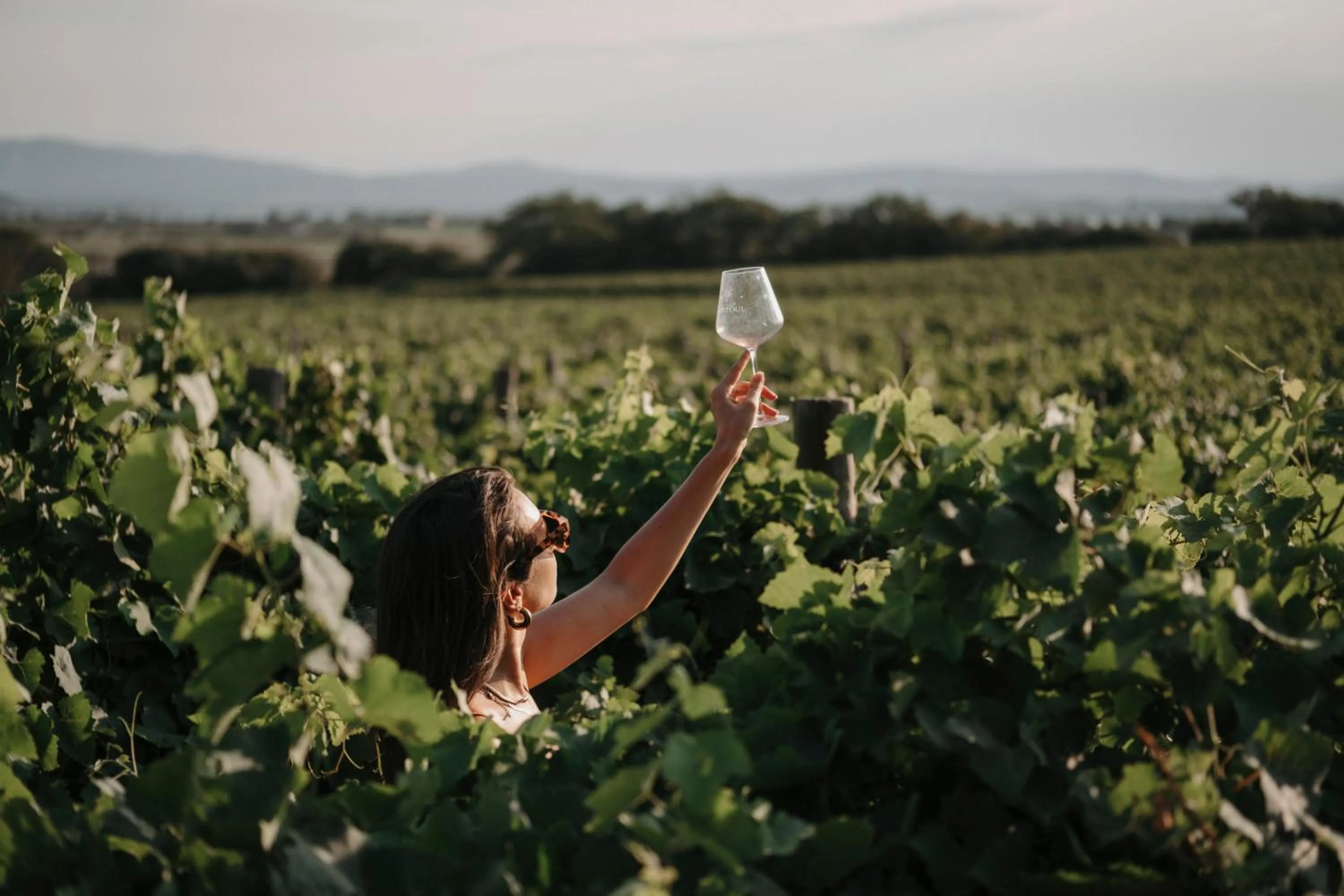 Activities in Château Capitoul