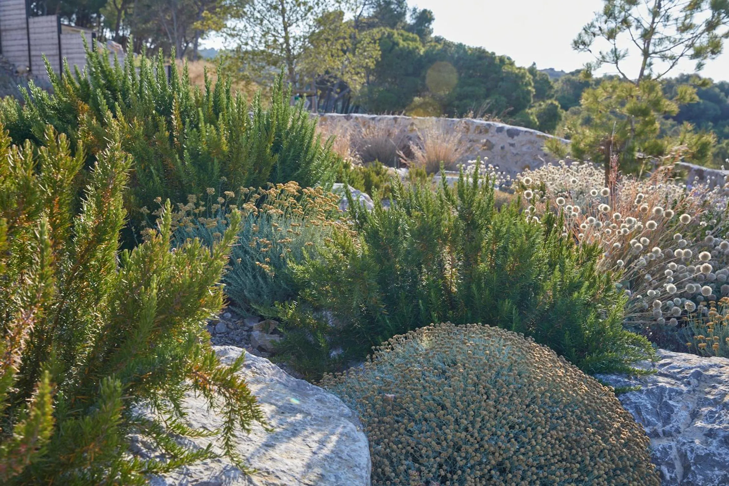 Garden in Château Capitoul
