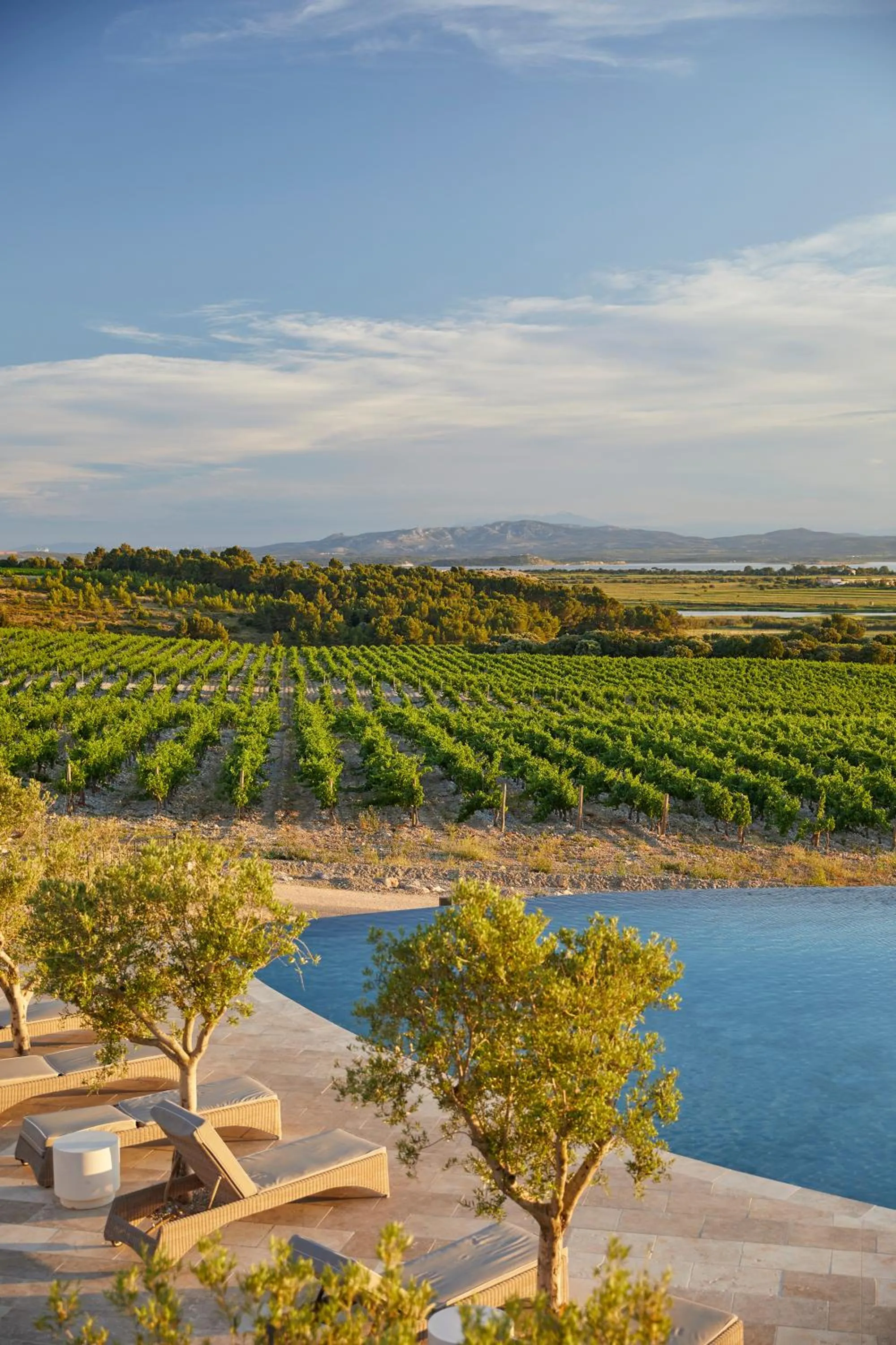 Swimming pool in Château Capitoul