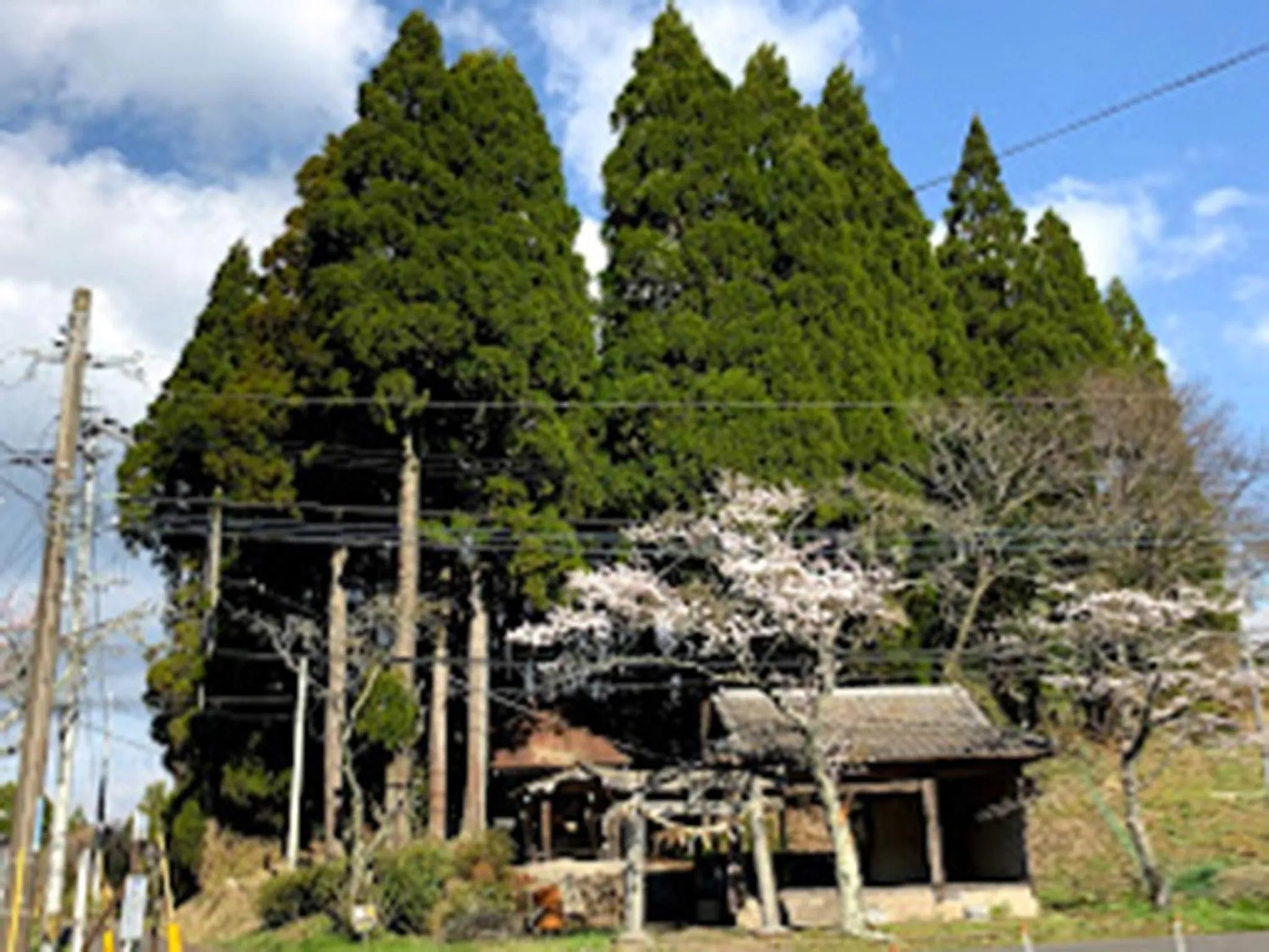 Guest house KURIHAI - Vacation STAY 21433v