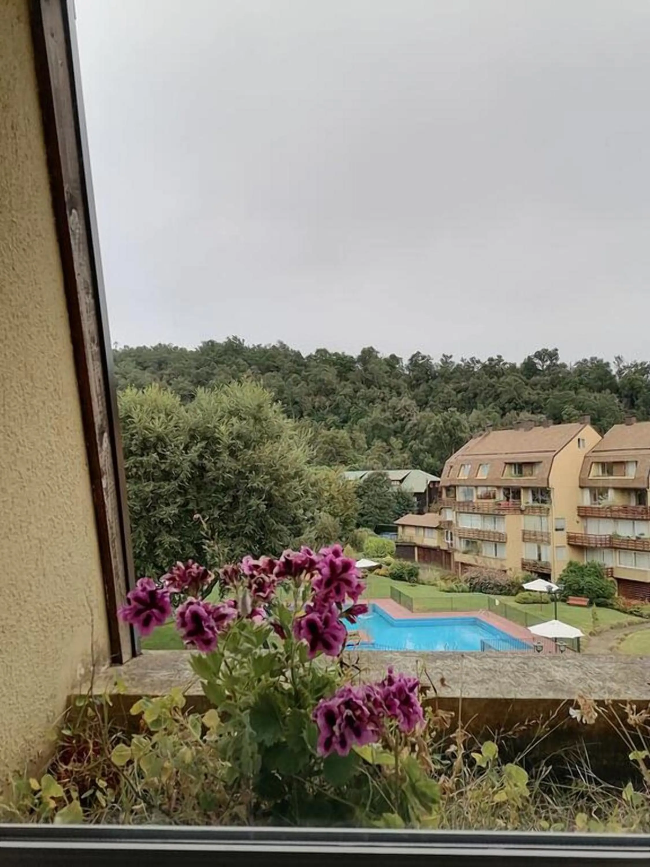 Pool view in Departamento en el Centro de Pucón, Hermosa vista al lago !!