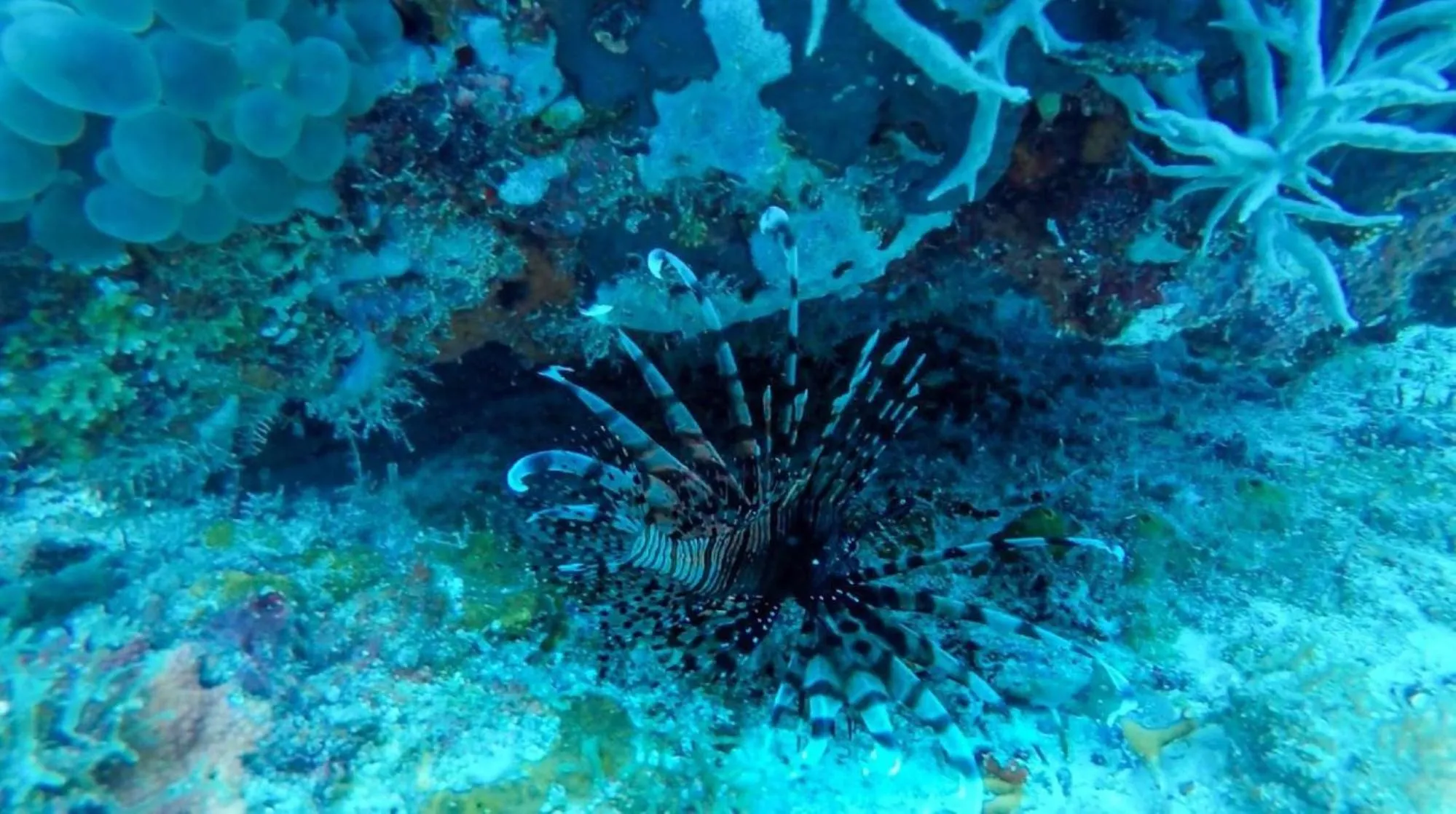 Beach in RedDoorz at Homa Resort Hotel