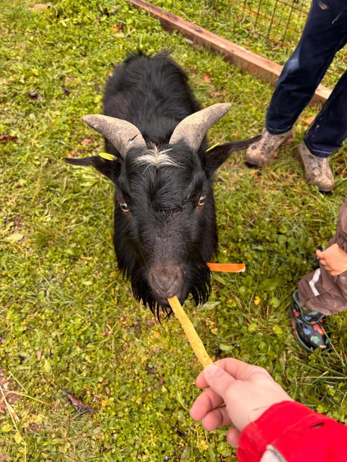 Activities in Agriturismo B&B La Cerasa
