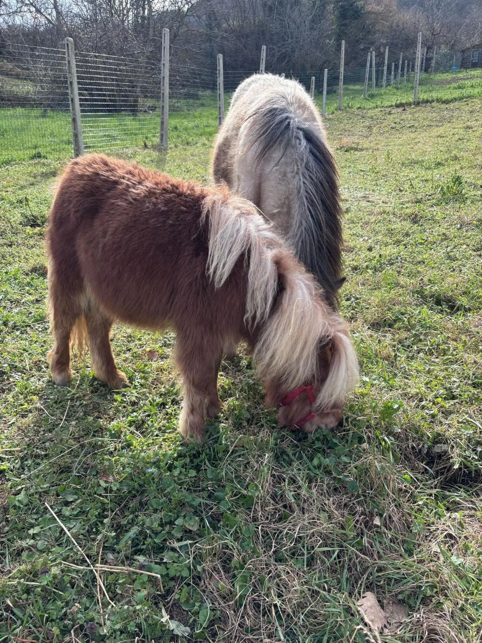 Activities in Agriturismo B&B La Cerasa