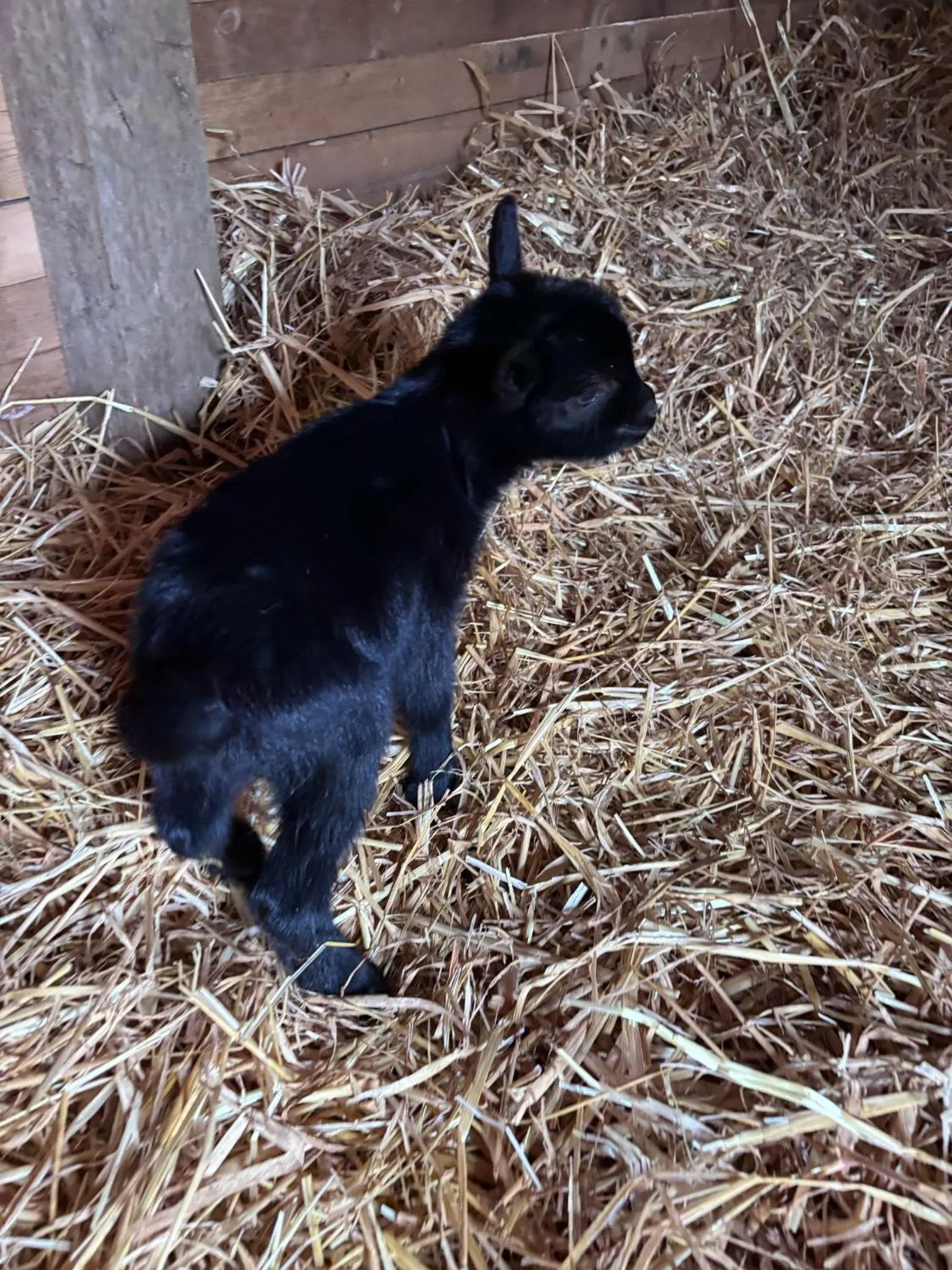 Activities in Agriturismo B&B La Cerasa