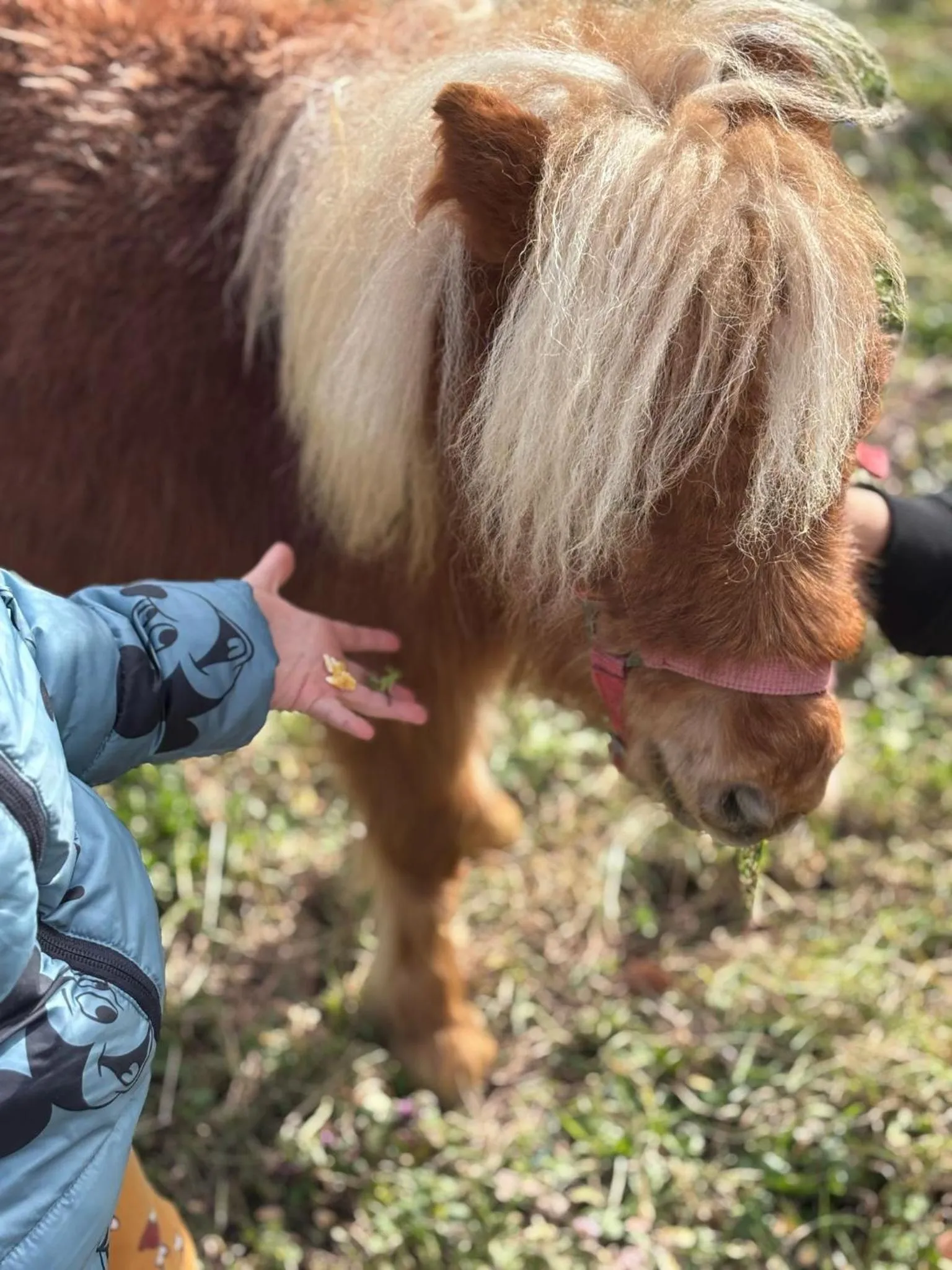 Activities in Agriturismo B&B La Cerasa