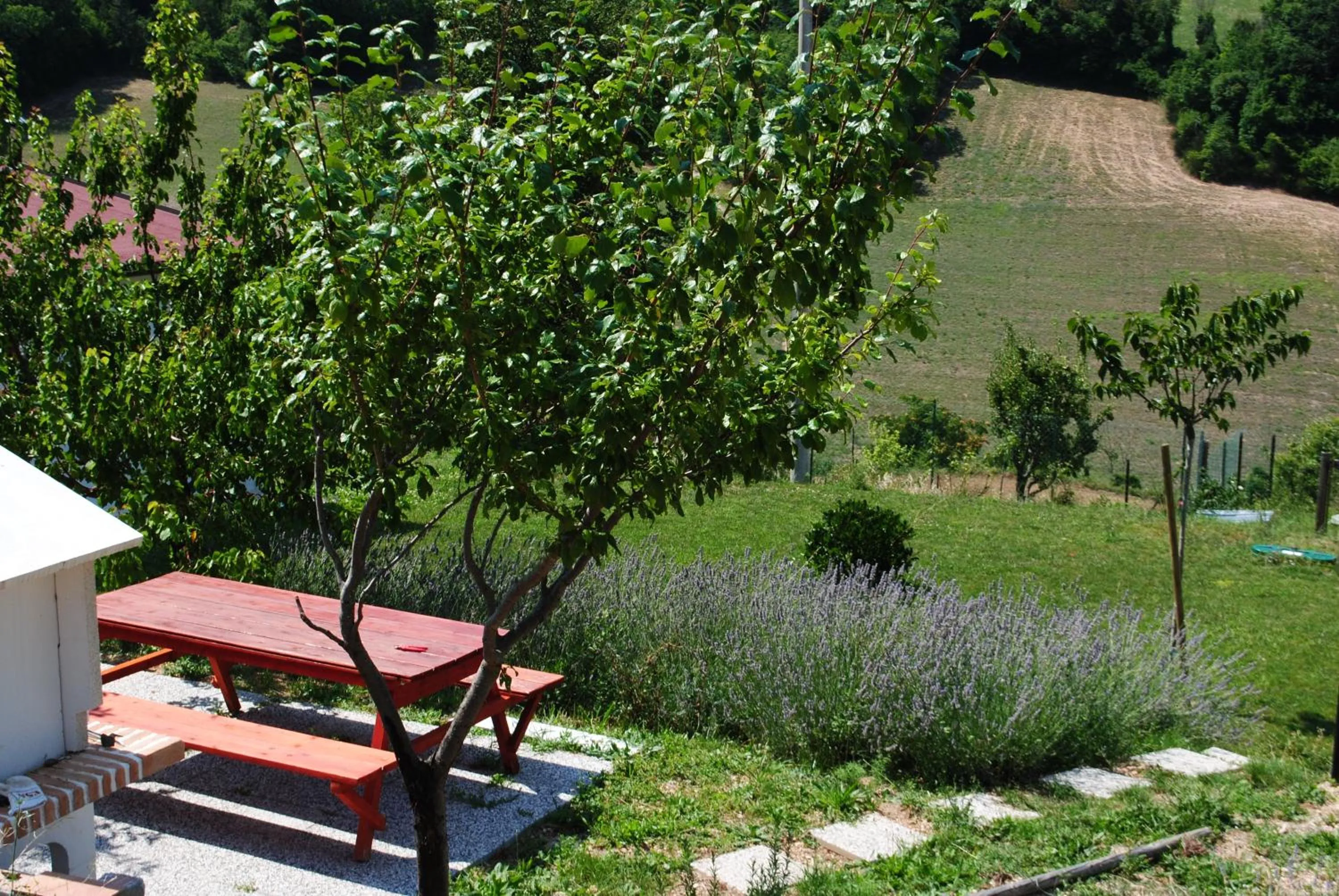 Garden in Agriturismo B&B La Cerasa