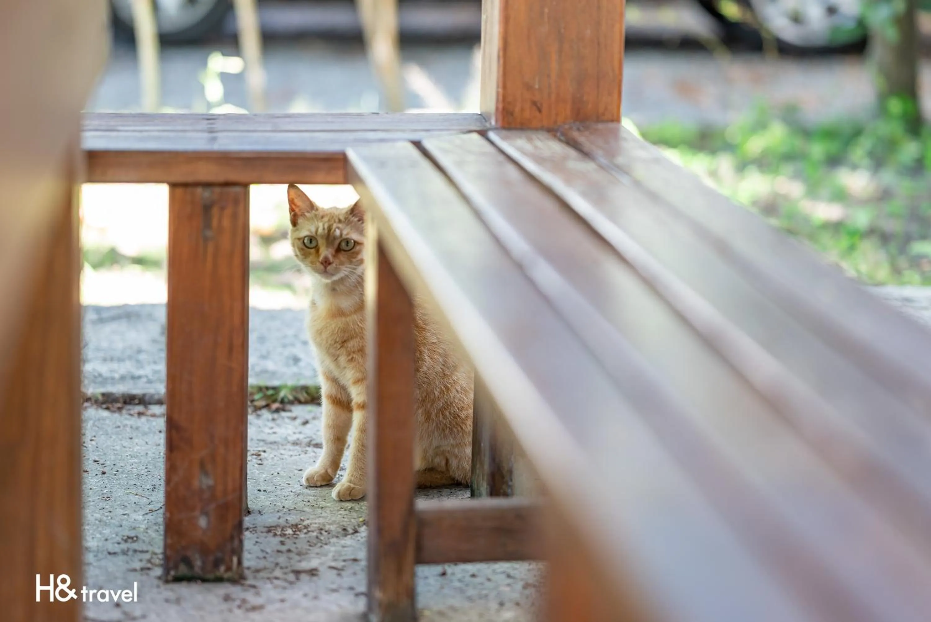 Property building in Taitung Feng lin Smart Stay