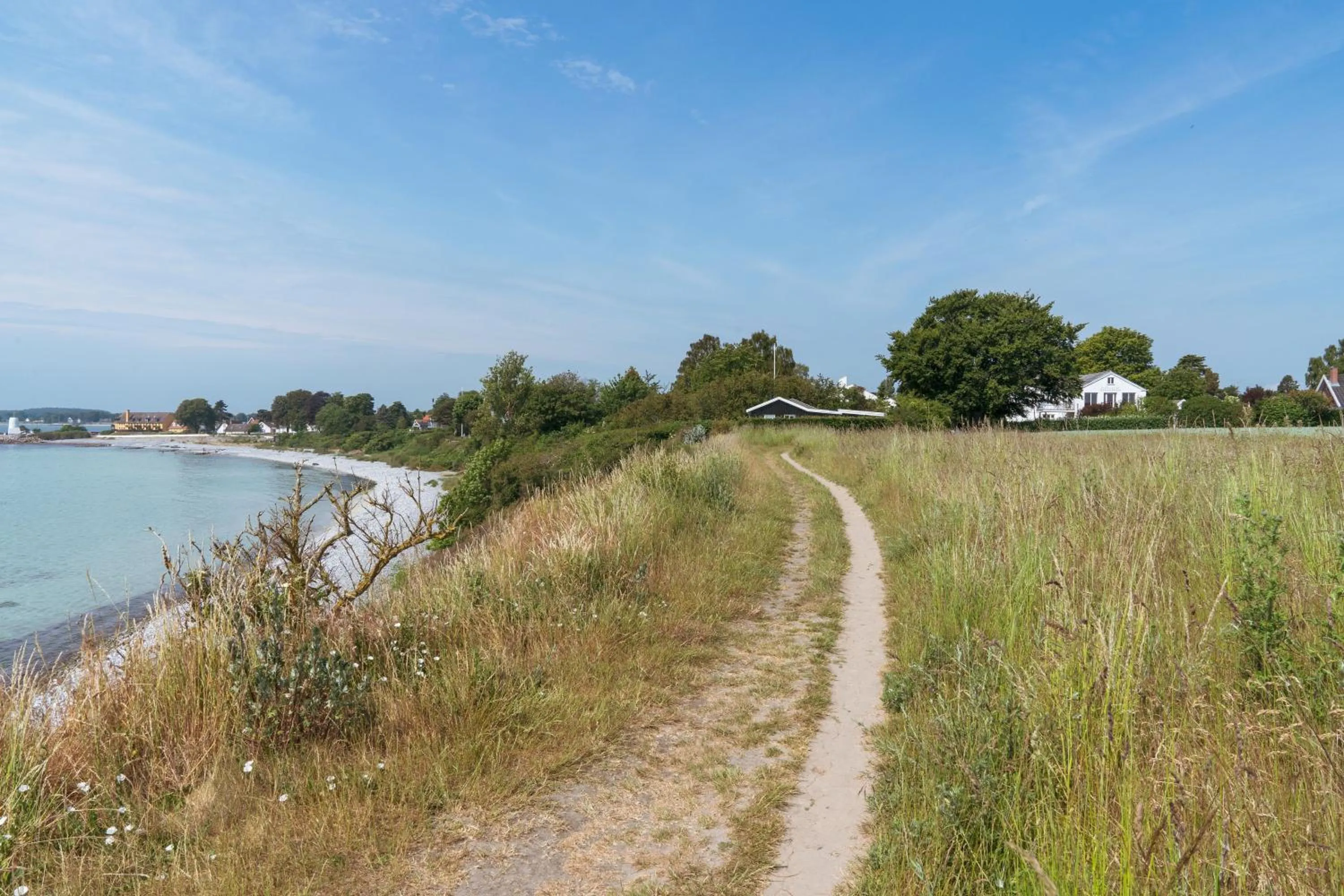 Natural landscape in Kridthuset Stevns Klint