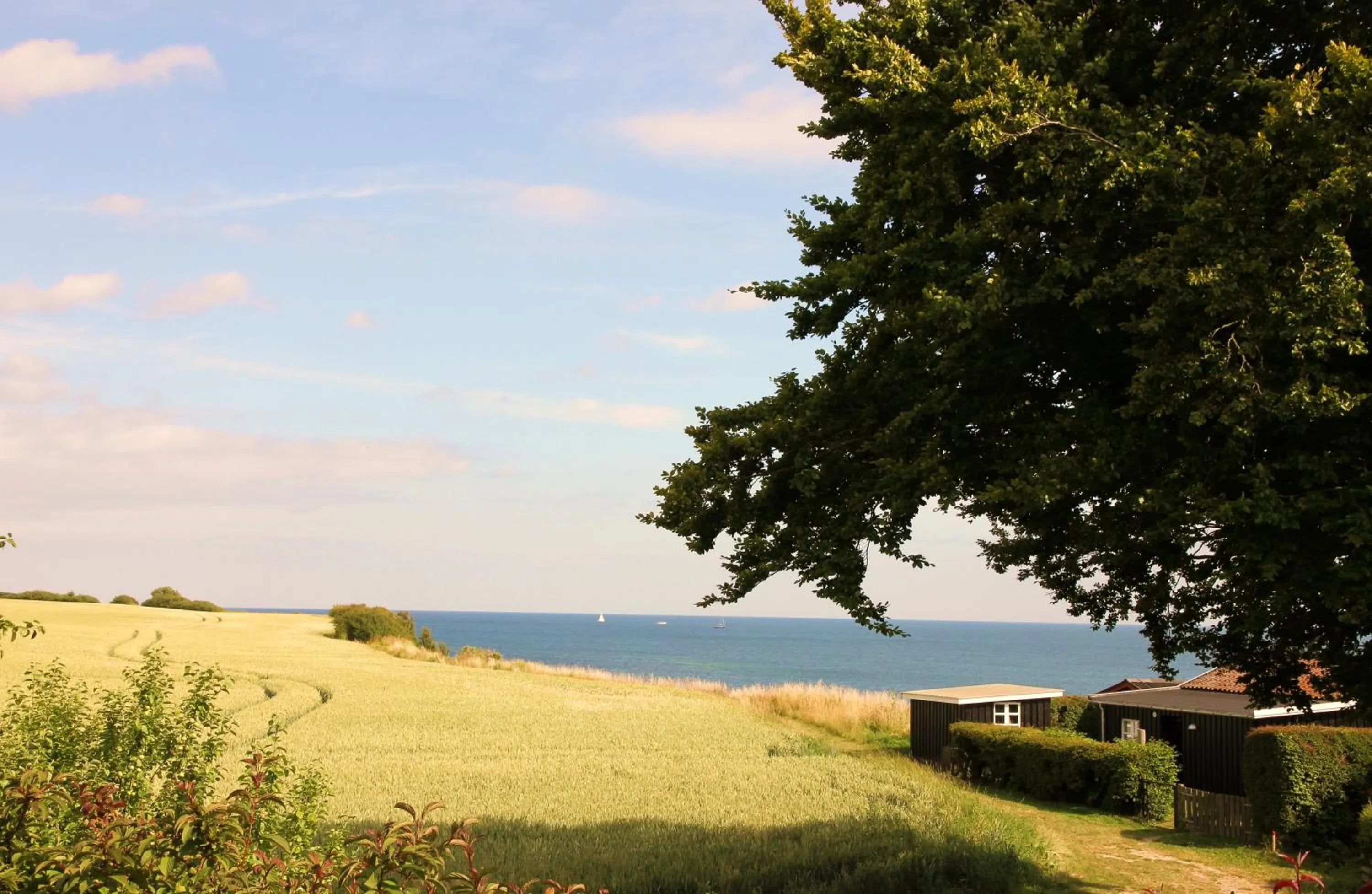 Other in Kridthuset Stevns Klint