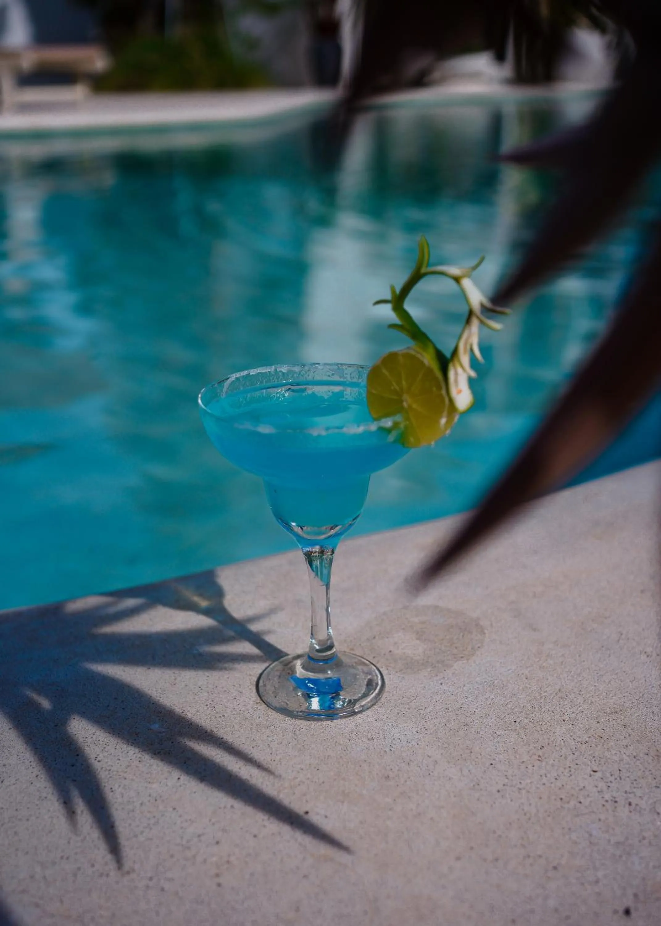 Lounge or bar in Montagne Boutique