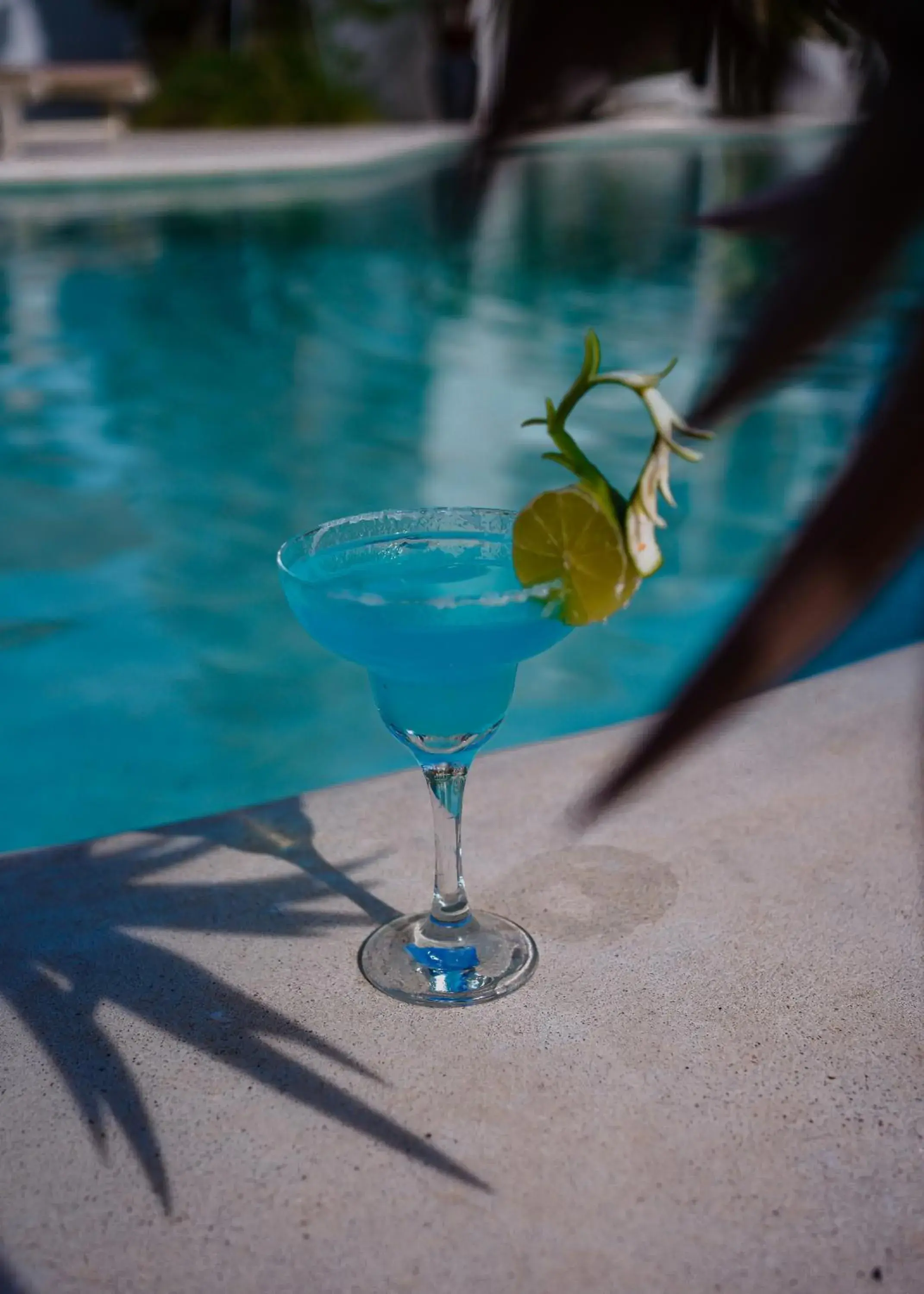 Lounge or bar in Montagne Boutique Lounge or bar in Montagne Boutique