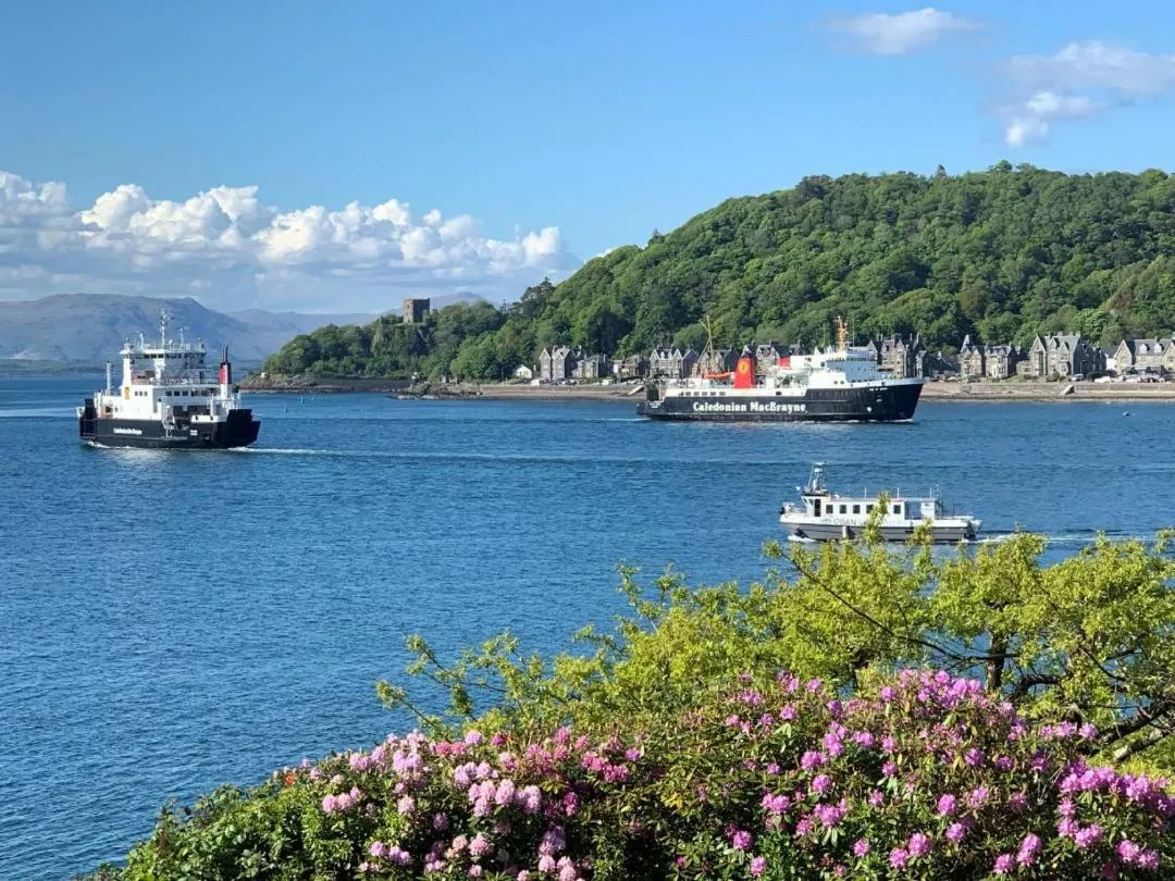 View (from property/room) in The Manor House