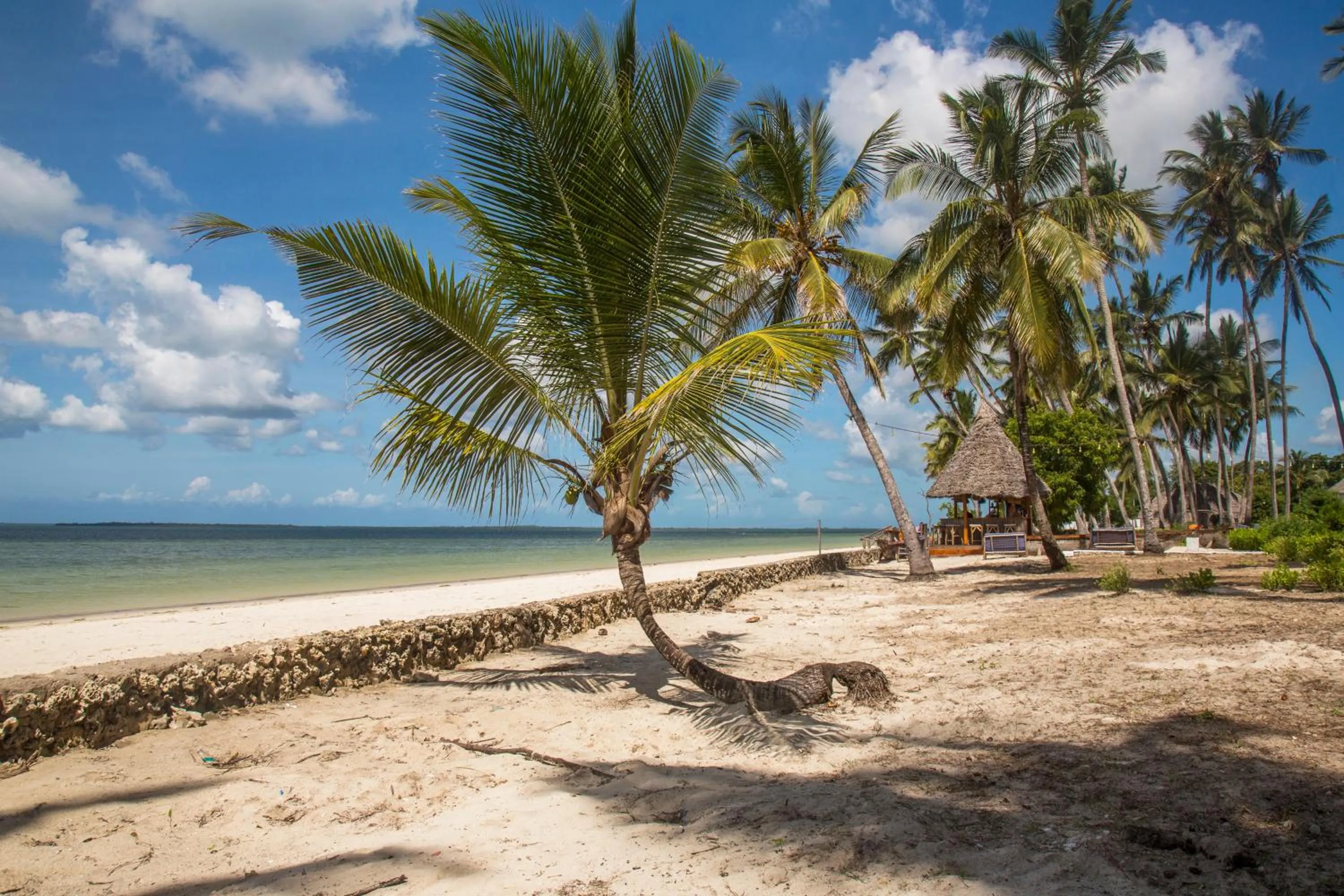 Natural landscape in Antonio Beach Tree House Hotel & Spa