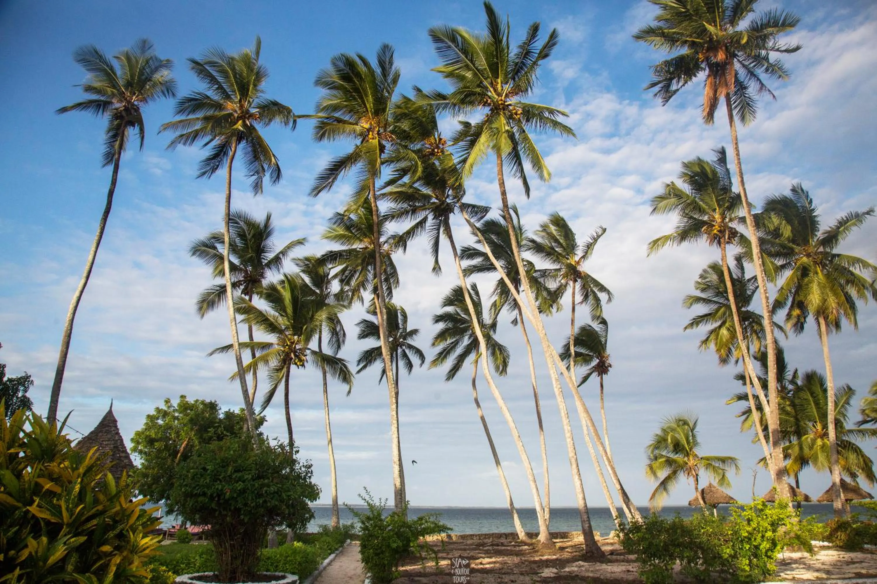 Natural landscape in Antonio Beach Tree House Hotel & Spa