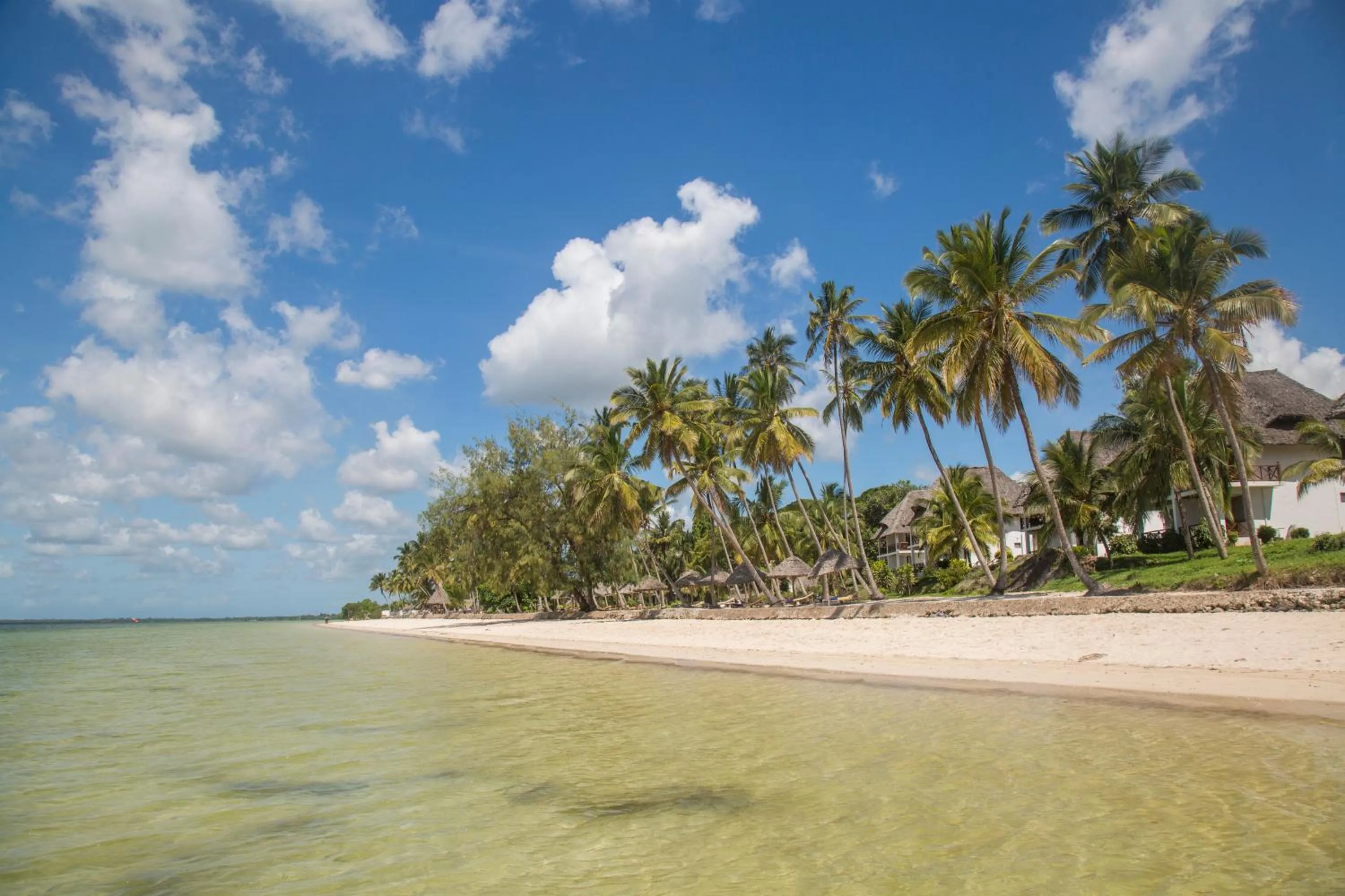 Natural landscape in Antonio Beach Tree House Hotel & Spa