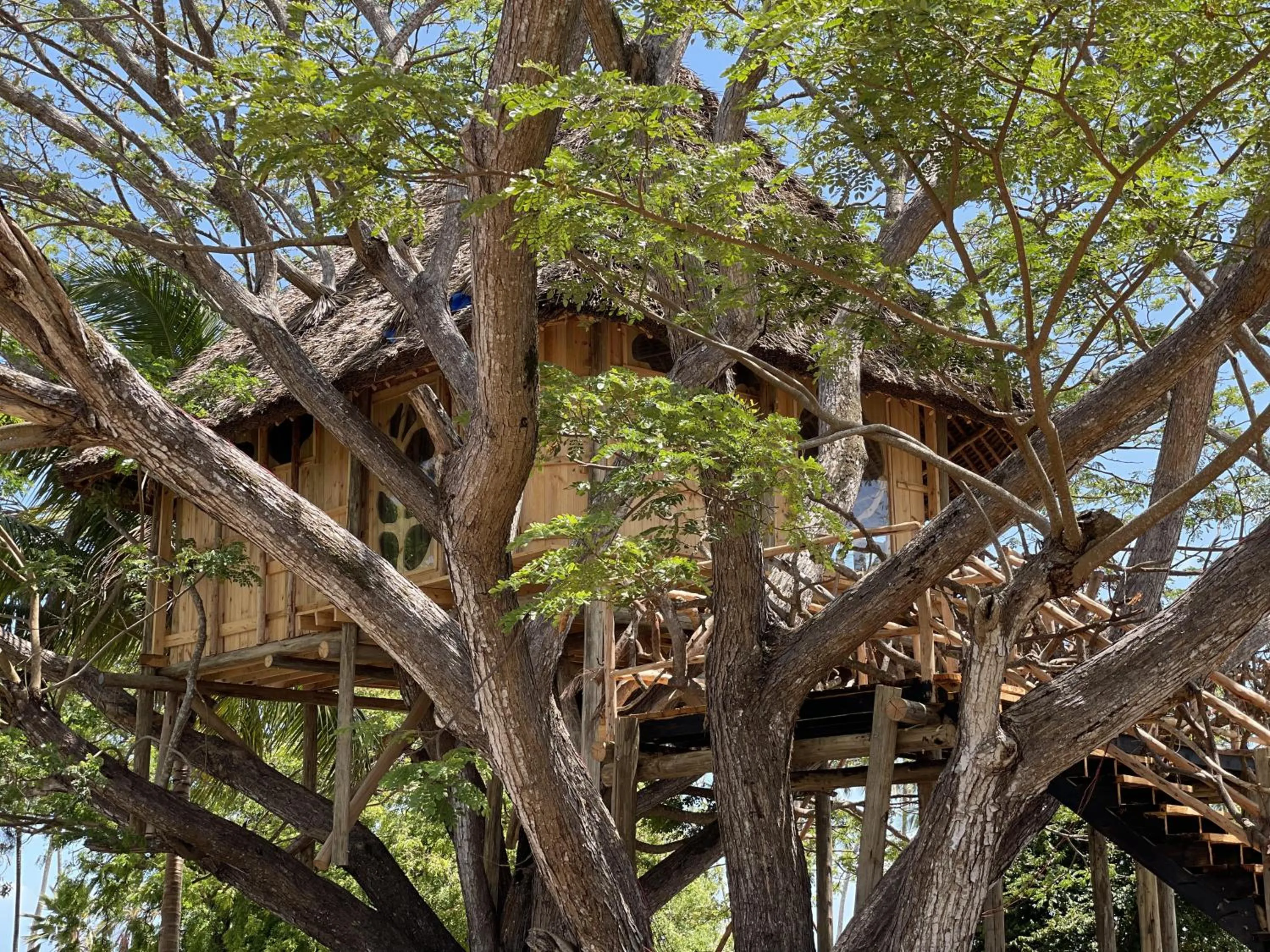 Natural landscape in Antonio Beach Tree House Hotel & Spa