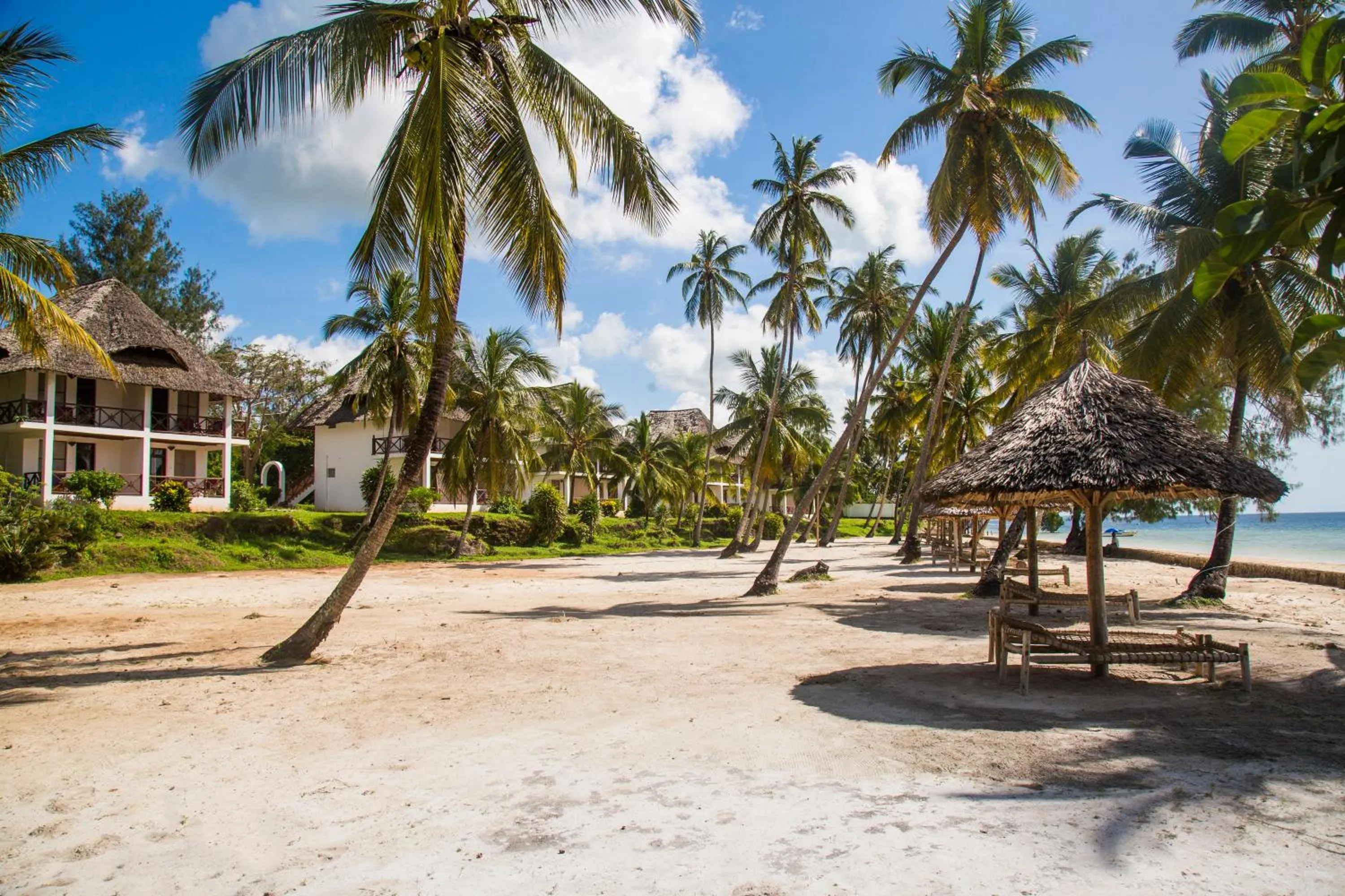 Beach in Antonio Beach Tree House Hotel & Spa
