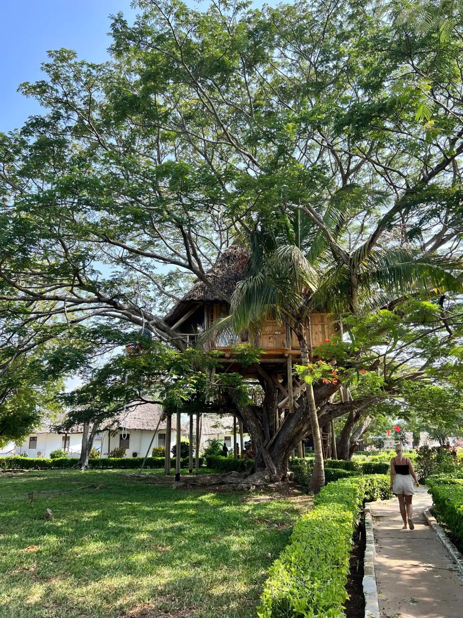 View (from property/room) in Antonio Beach Tree House Hotel & Spa