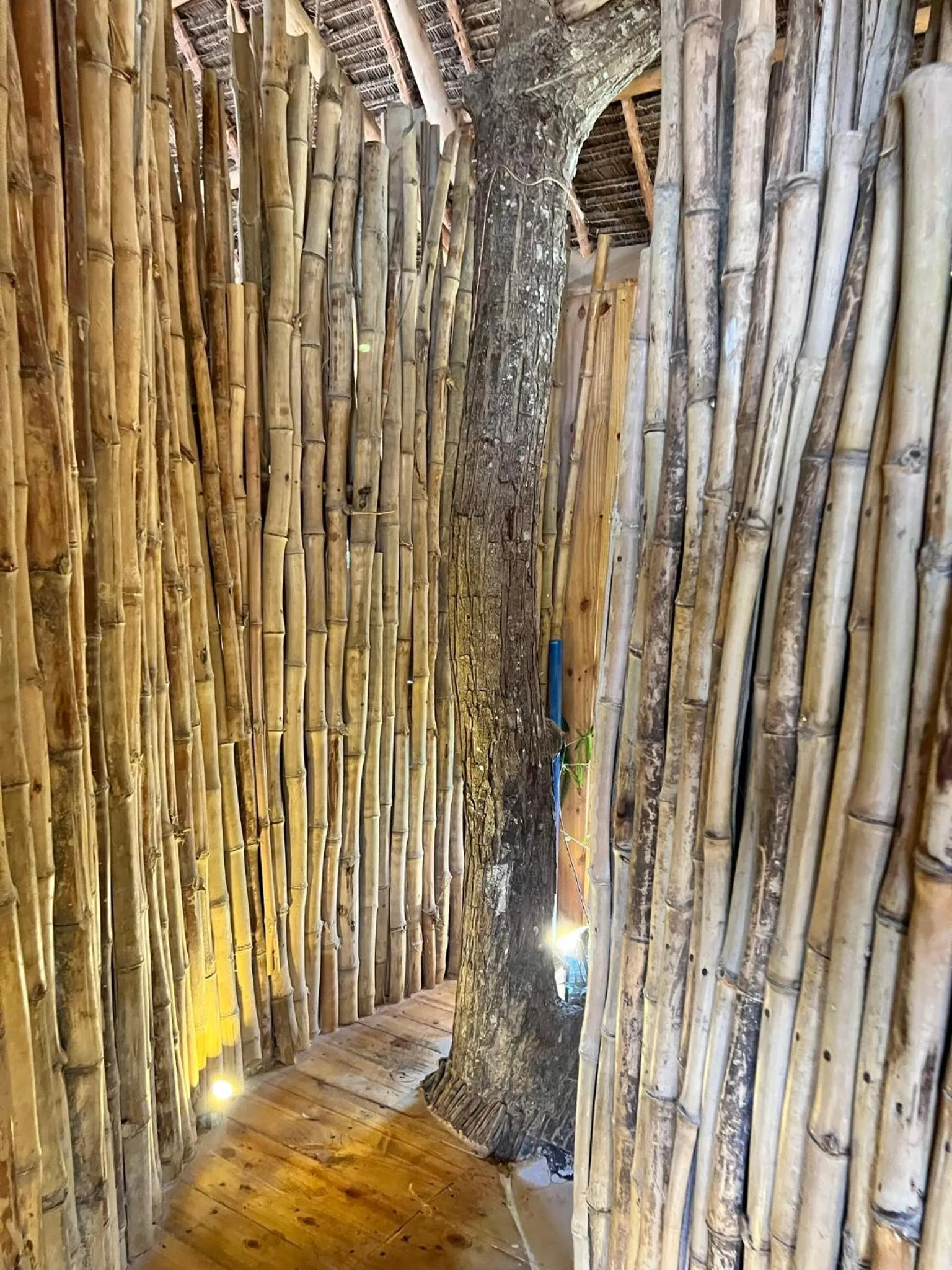 Decorative detail in Antonio Beach Tree House Hotel & Spa