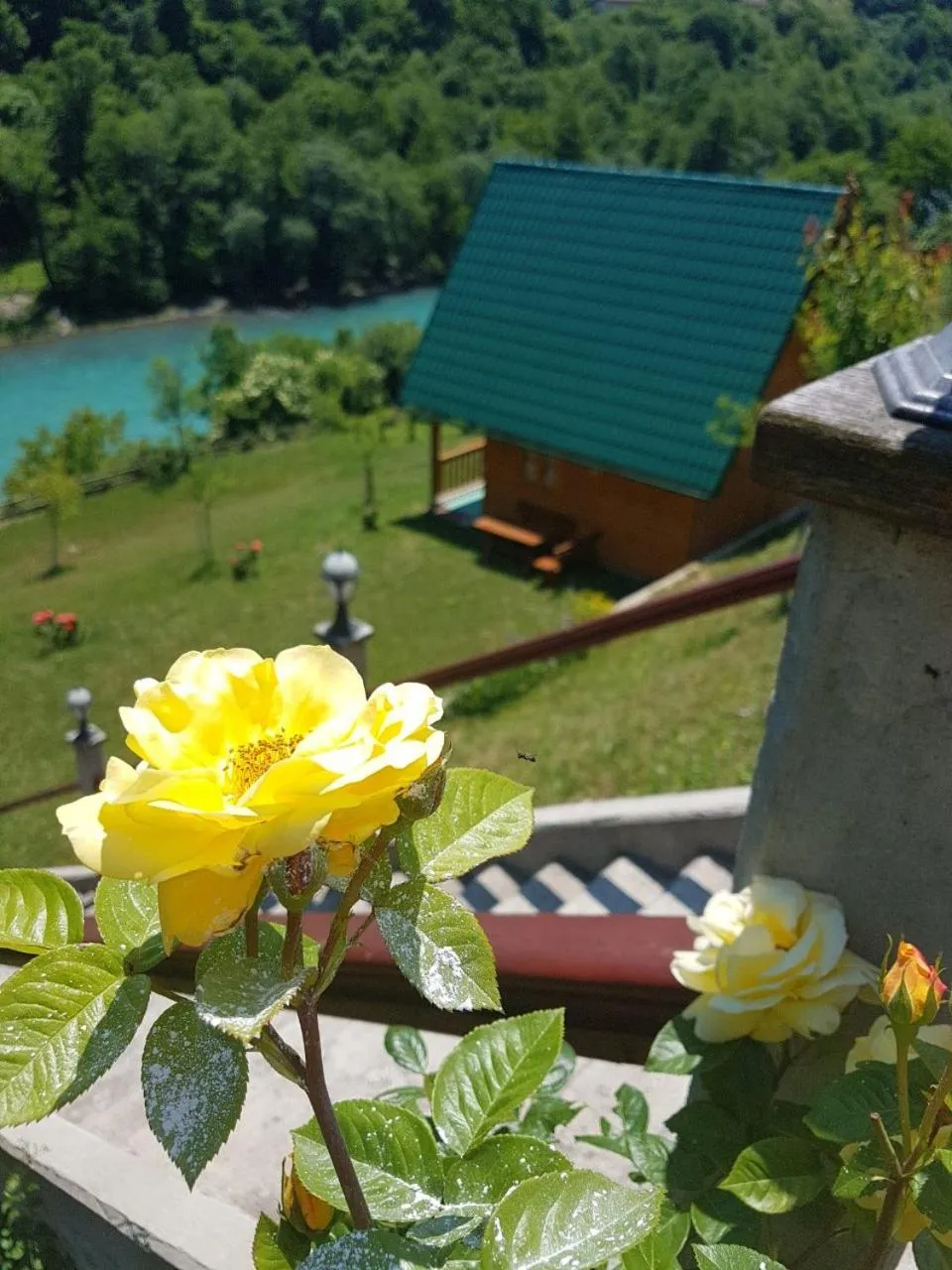 Bungalow - Water Front  in Motel Bavaria