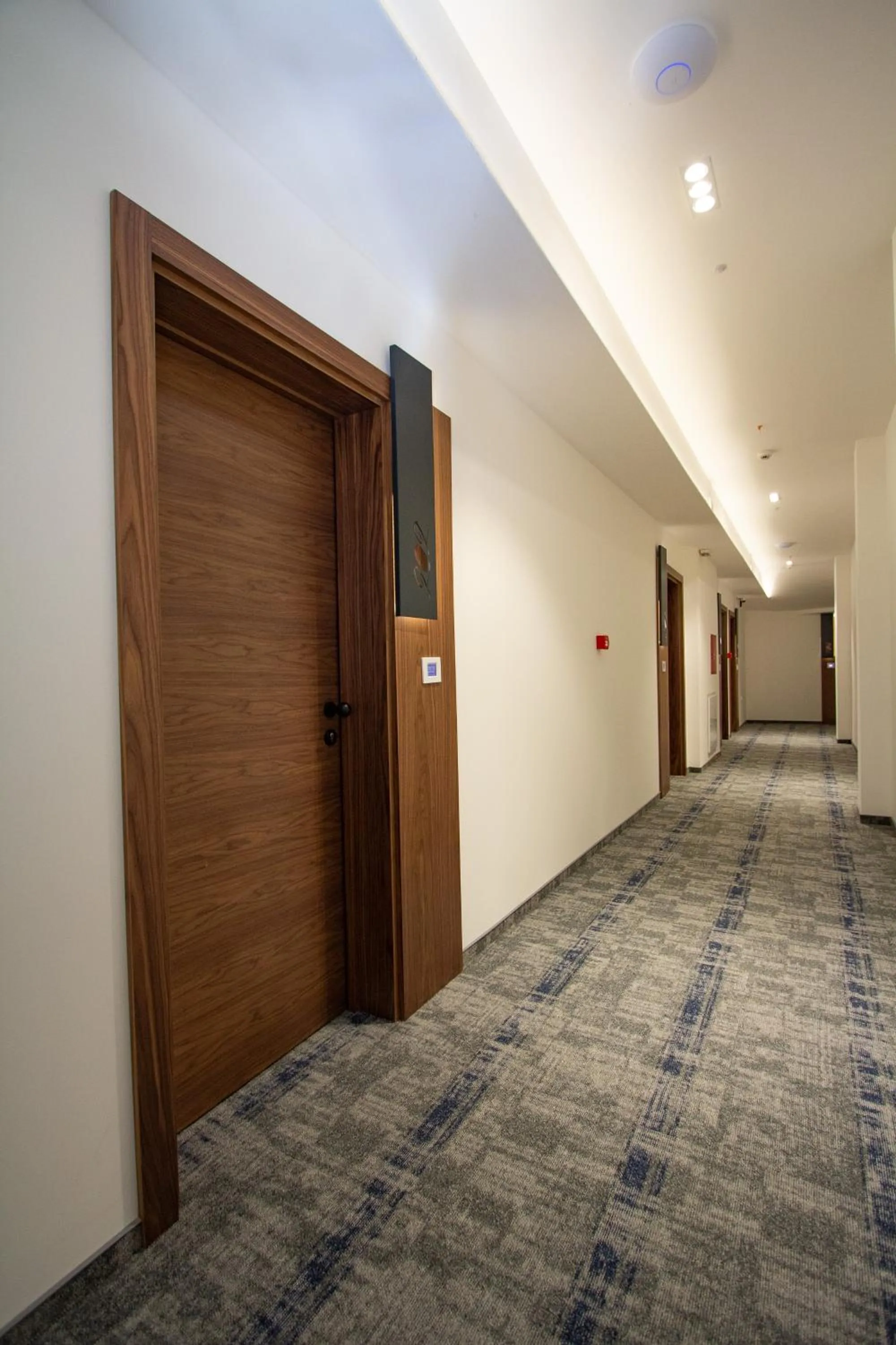 Photo of the whole room in Hotel Grand