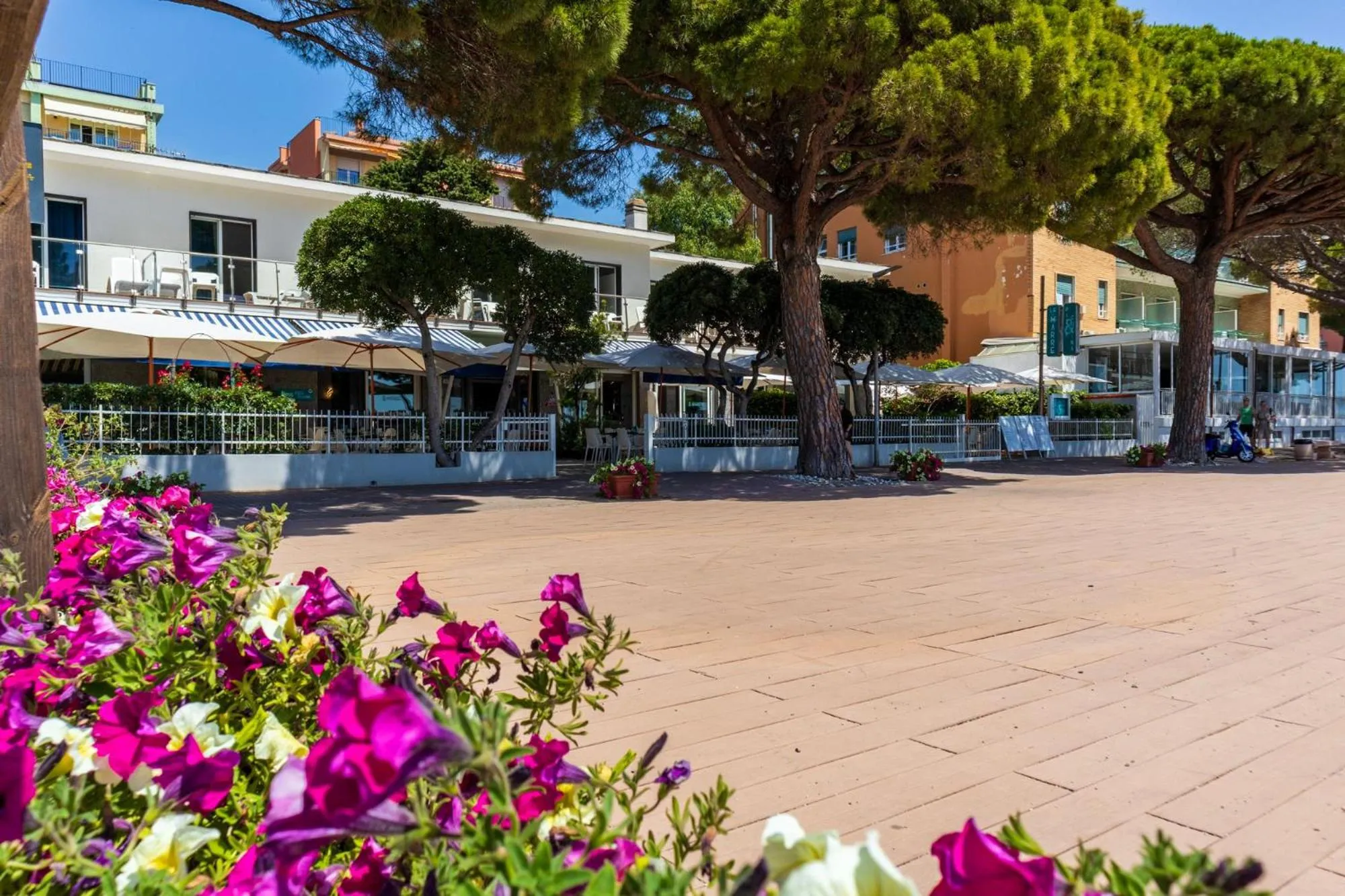 View (from property/room) in Piccolo hotel le Palme
