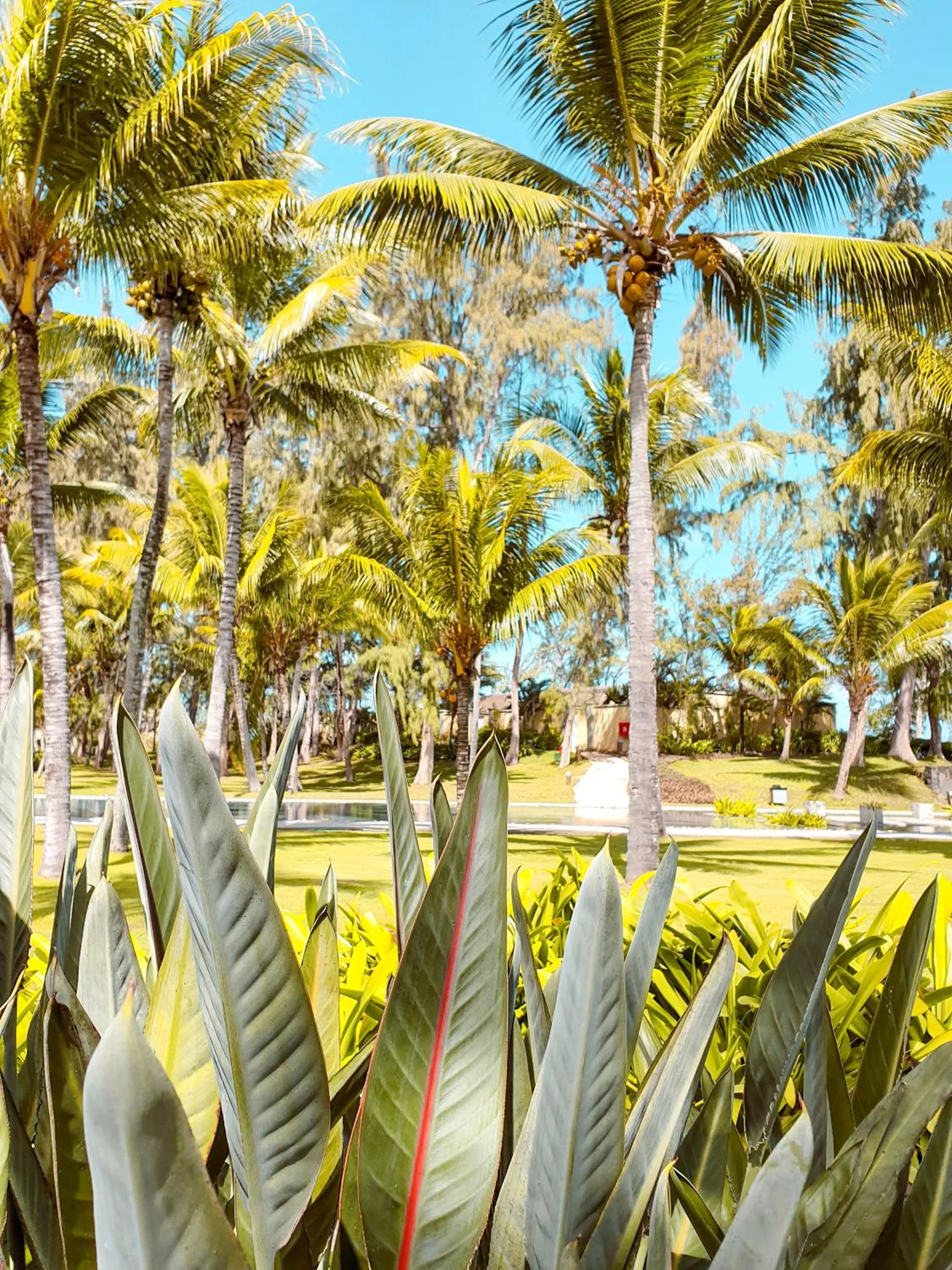 Garden in Outrigger Mauritius Beach Resort