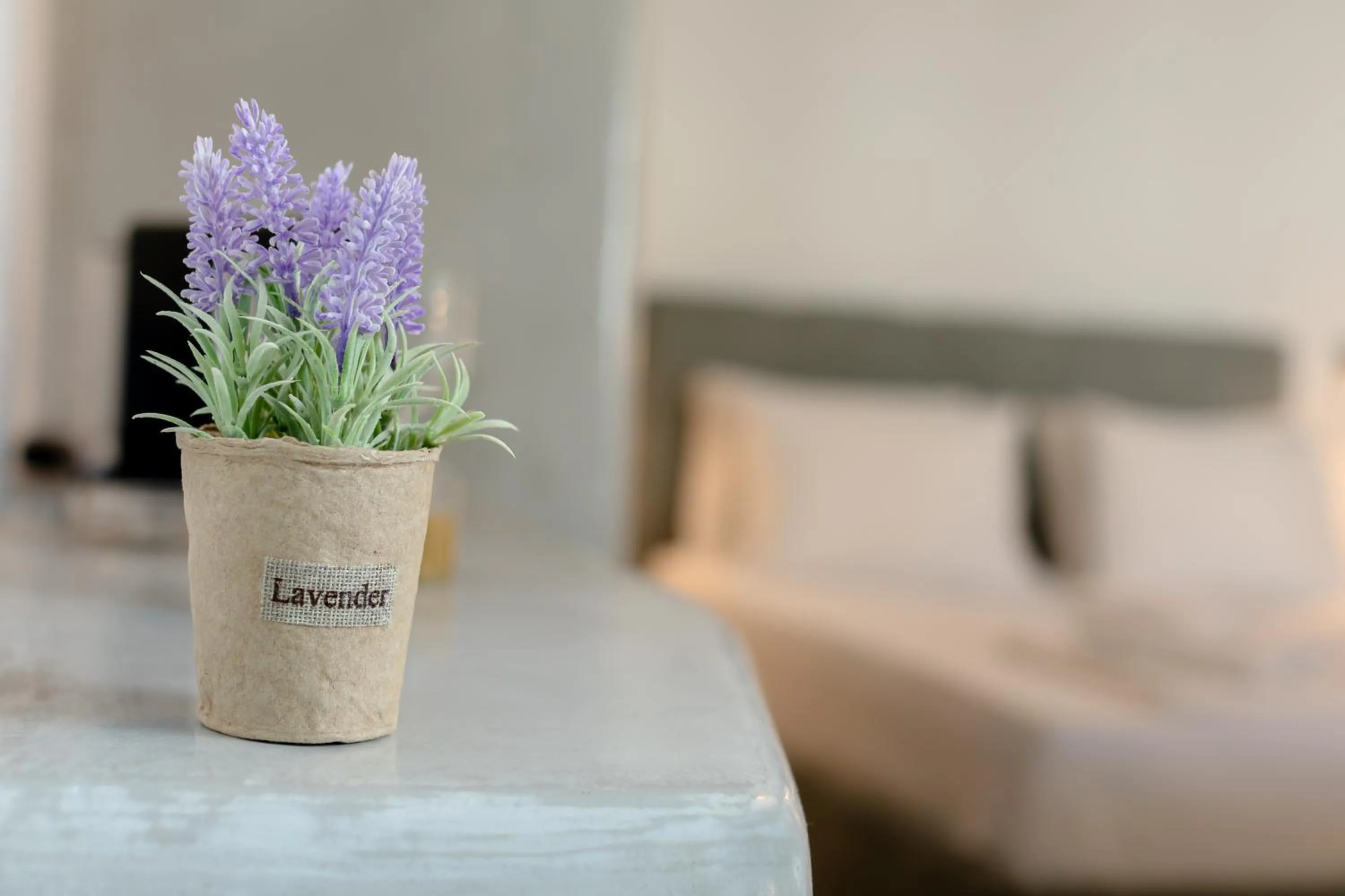 Decorative detail in NEOKLASSIKO KOUKOULI