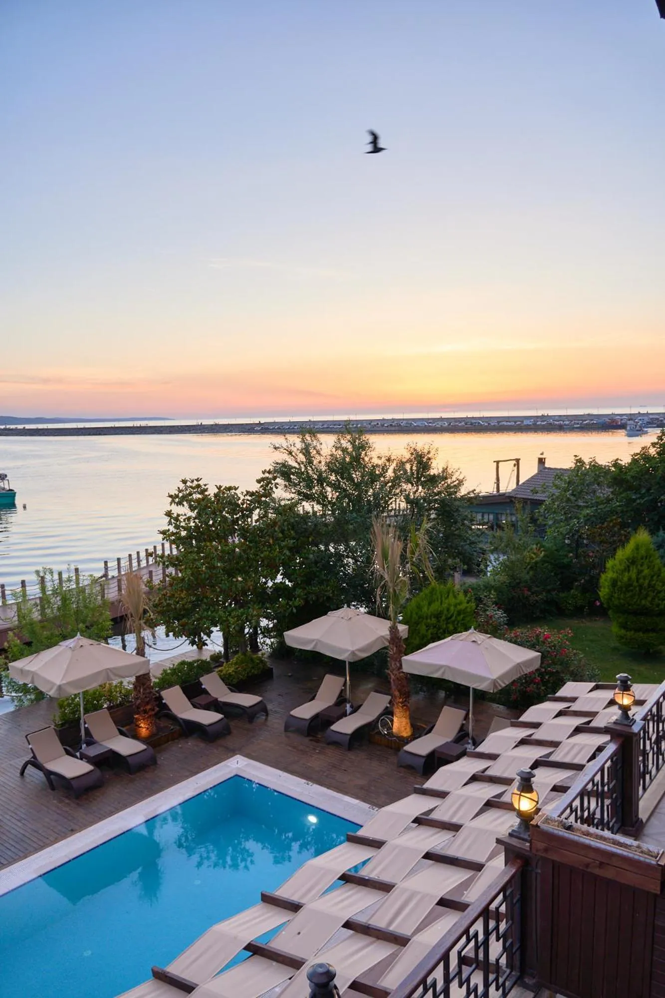 Swimming pool in Phellos Suites Boutique Hotel