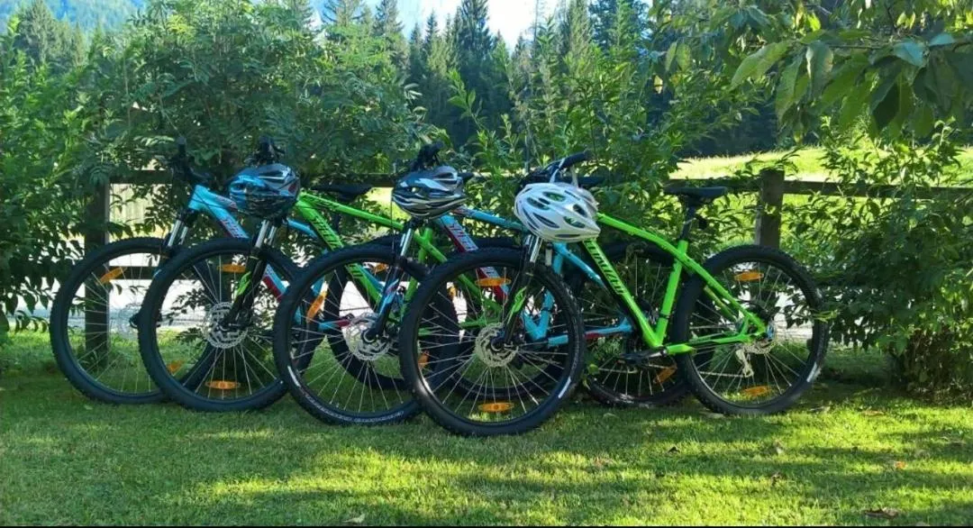 Cycling in Apartments Gorski raj
