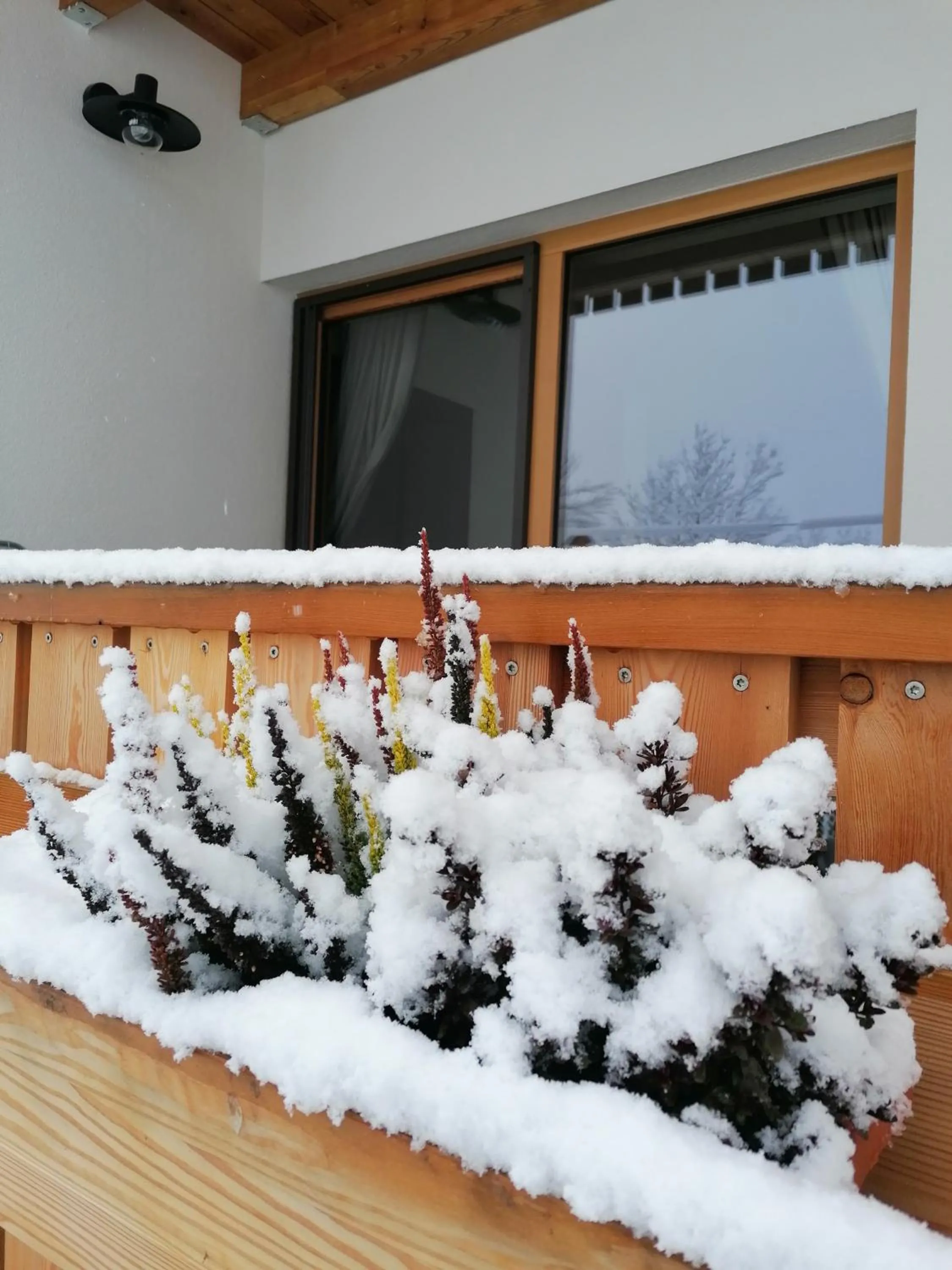 Apartments Gorski raj