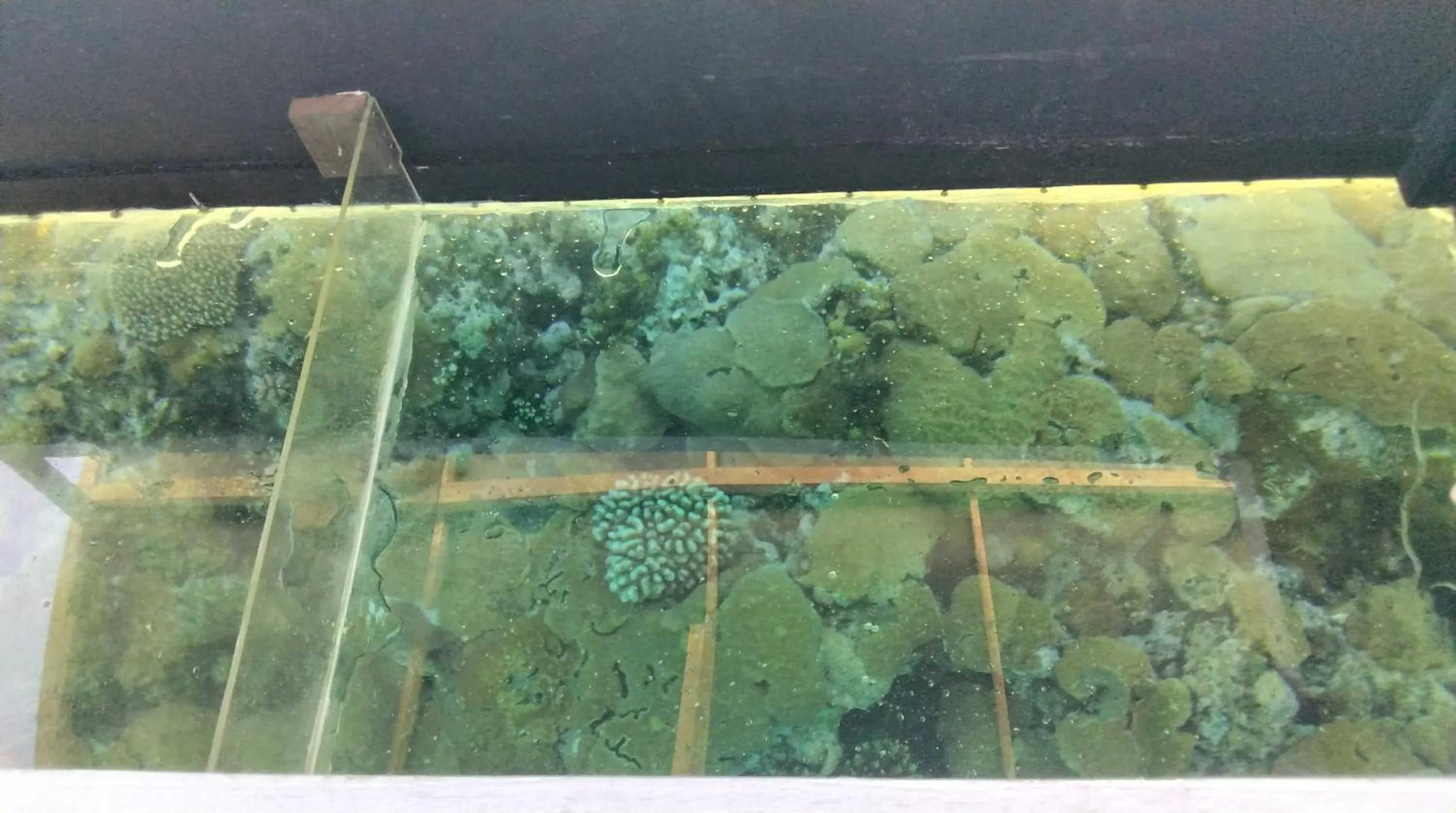 Anajawan Island Beachfront Resort