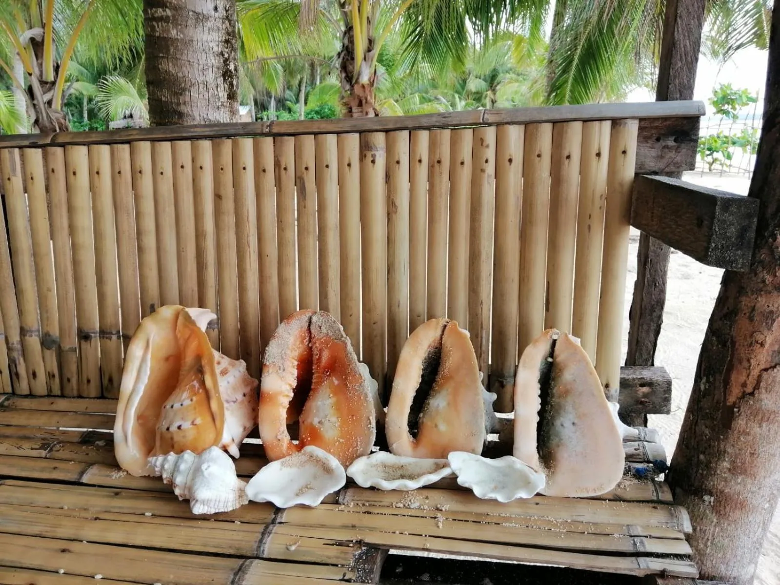 Anajawan Island Beachfront Resort