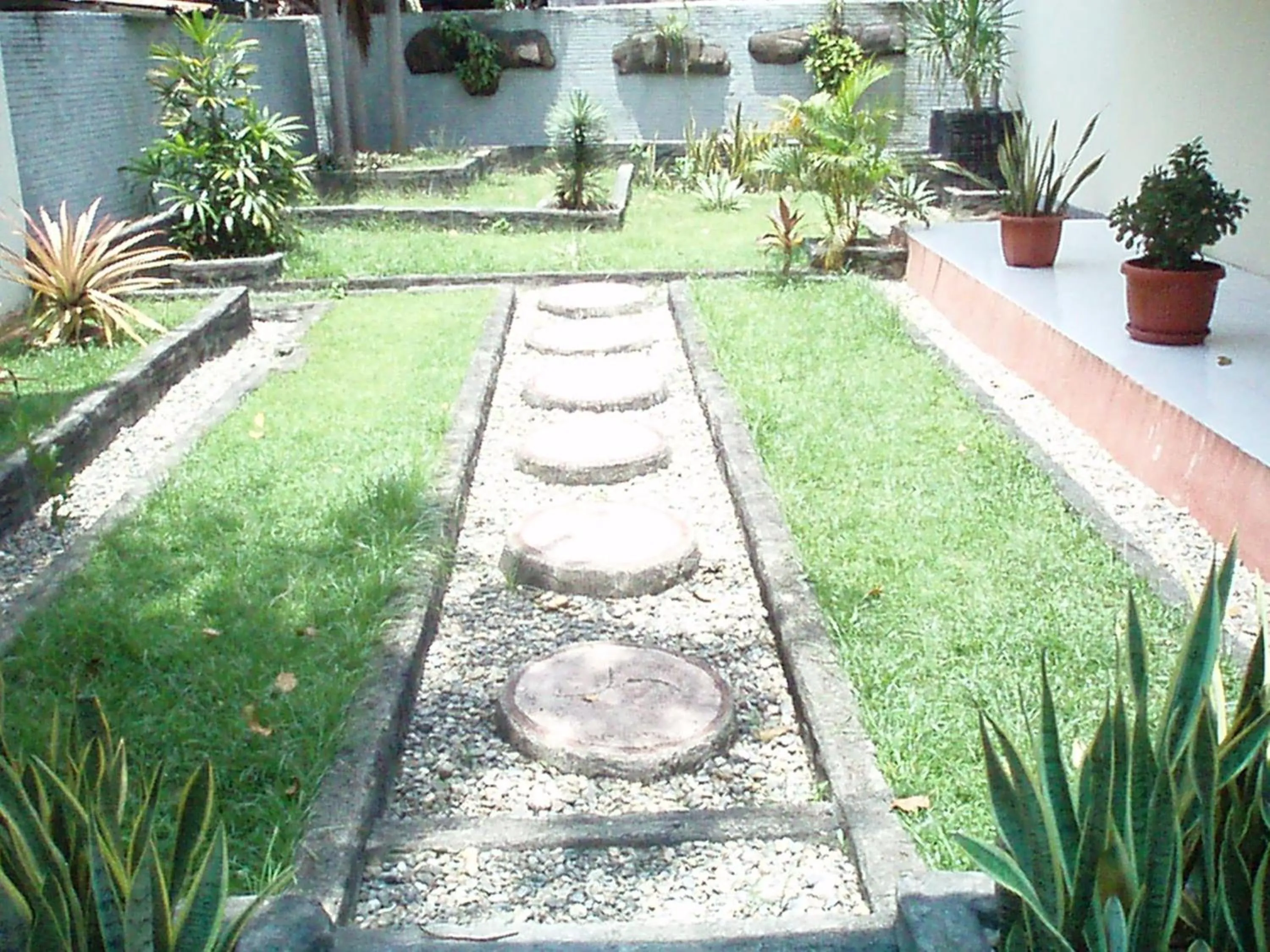 Garden in Jambura Inn
