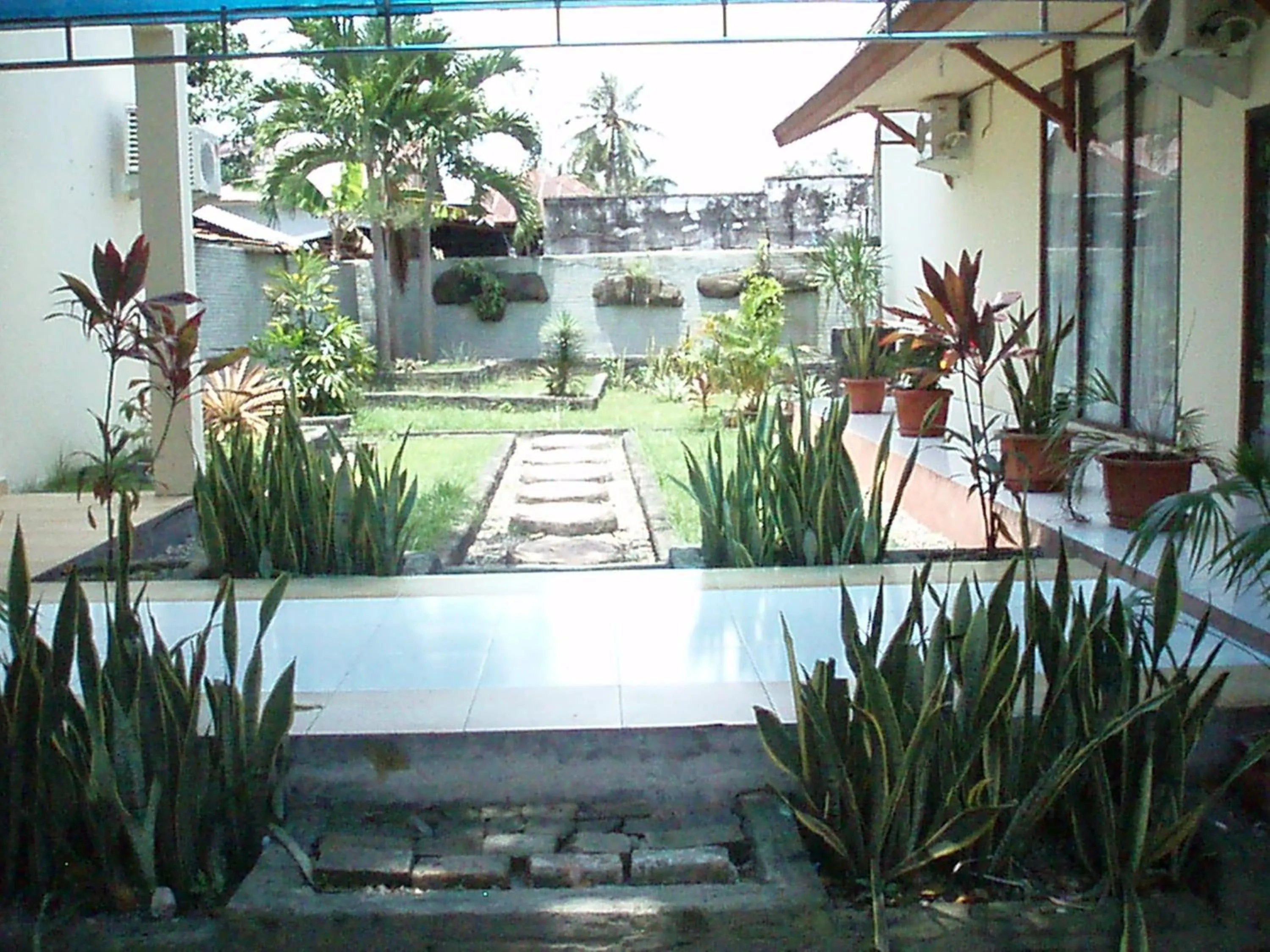 Garden in Jambura Inn