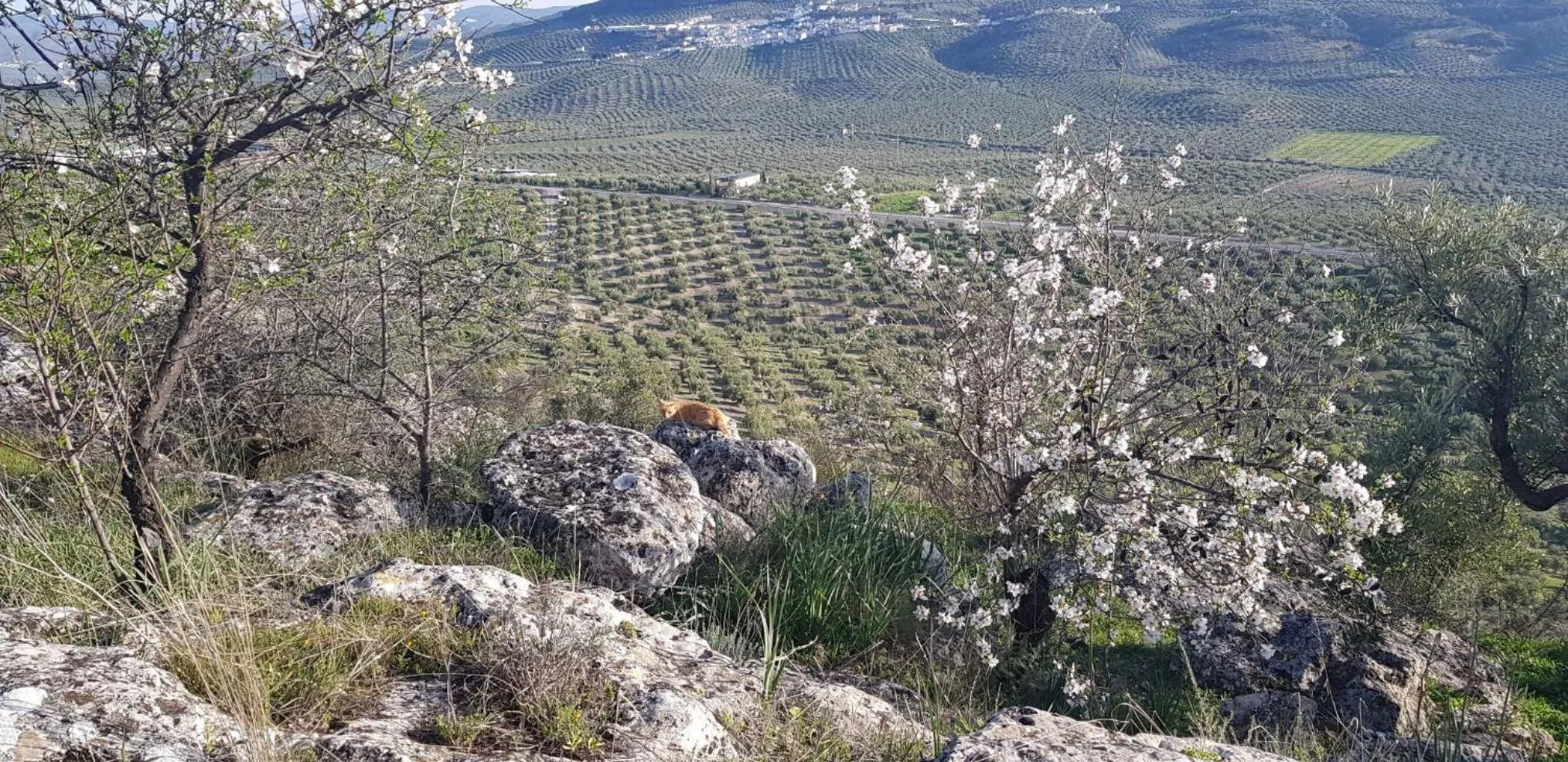 Casa Rural los Danzantes