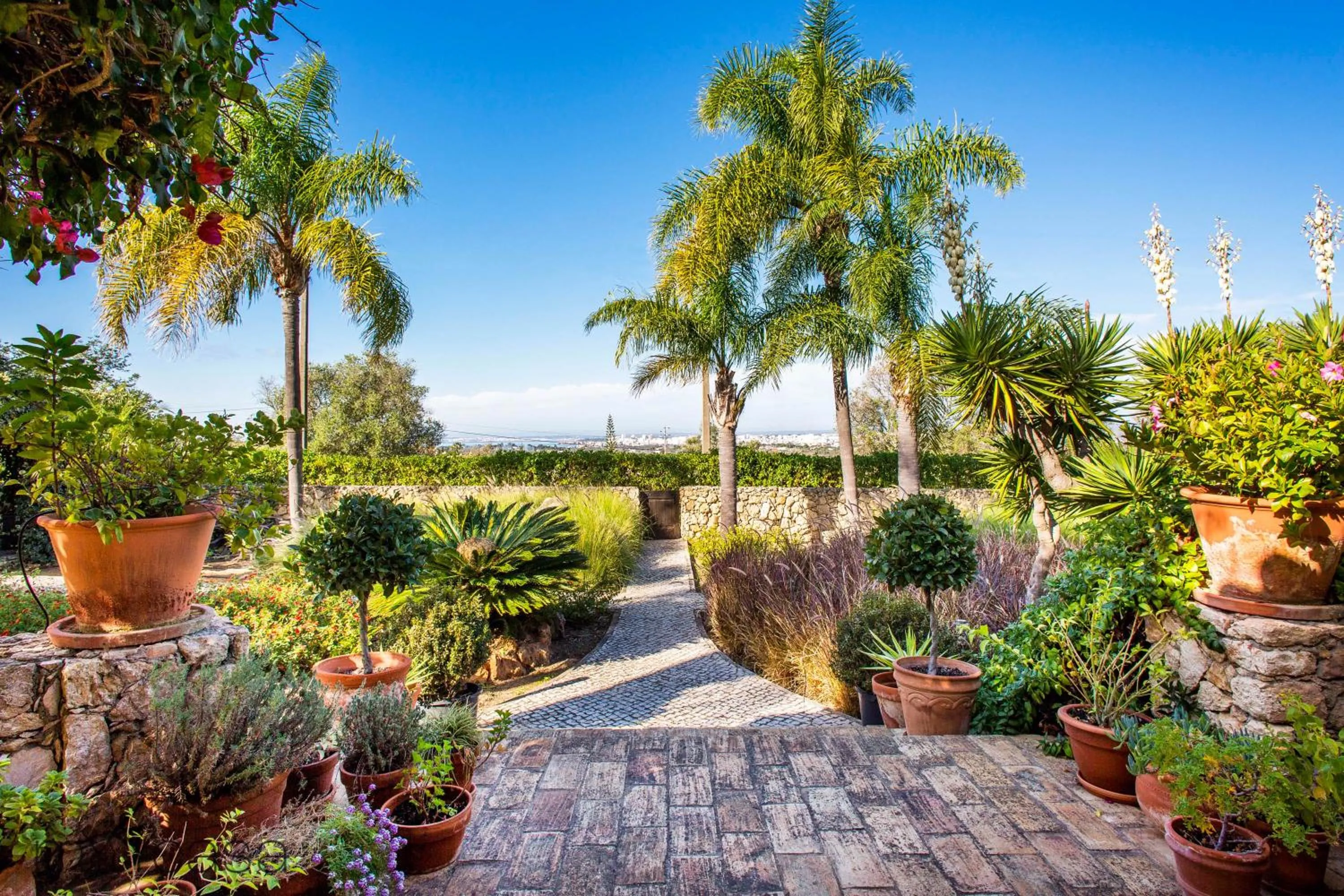 Garden in Quinta Azul - Gorgeous Apartment with Pool & Private Terrace